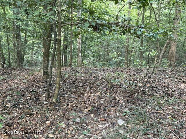 Smith County Road 581 Property Photo 6