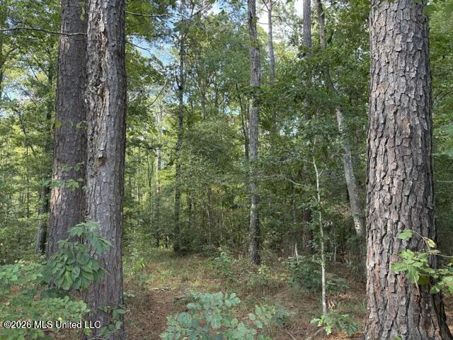 Smith County Road 581 Property Photo 7