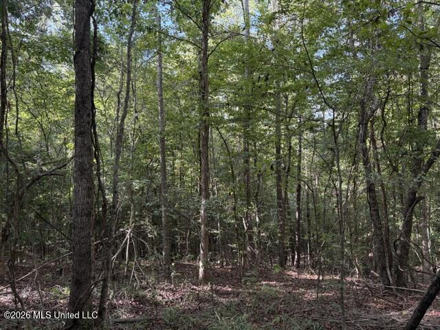 Smith County Road 581 Property Photo 8