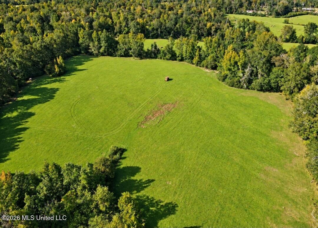 Busby Trail Property Photo 1