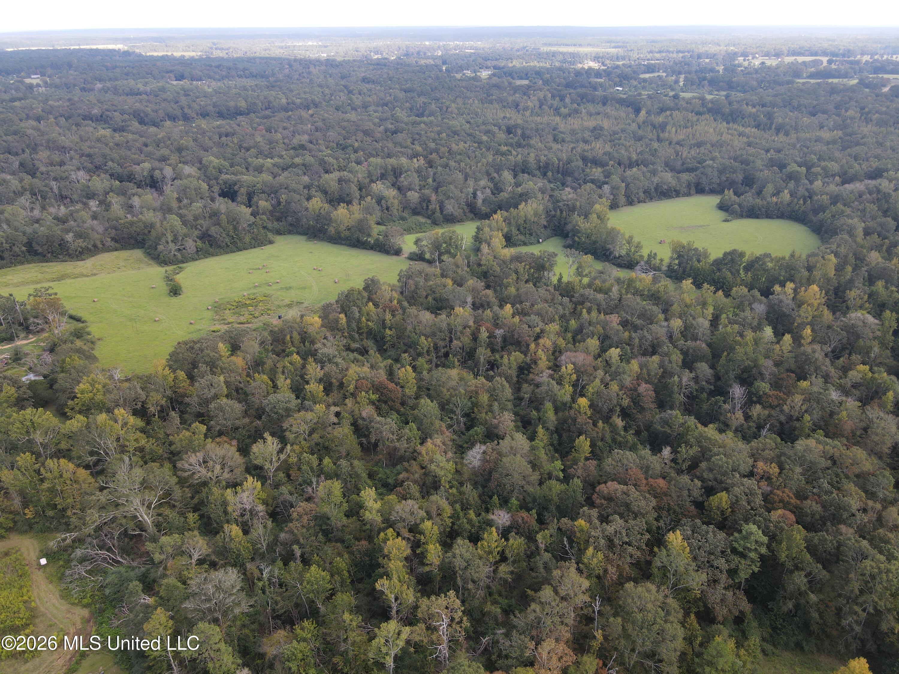 Busby Trail Property Photo 5