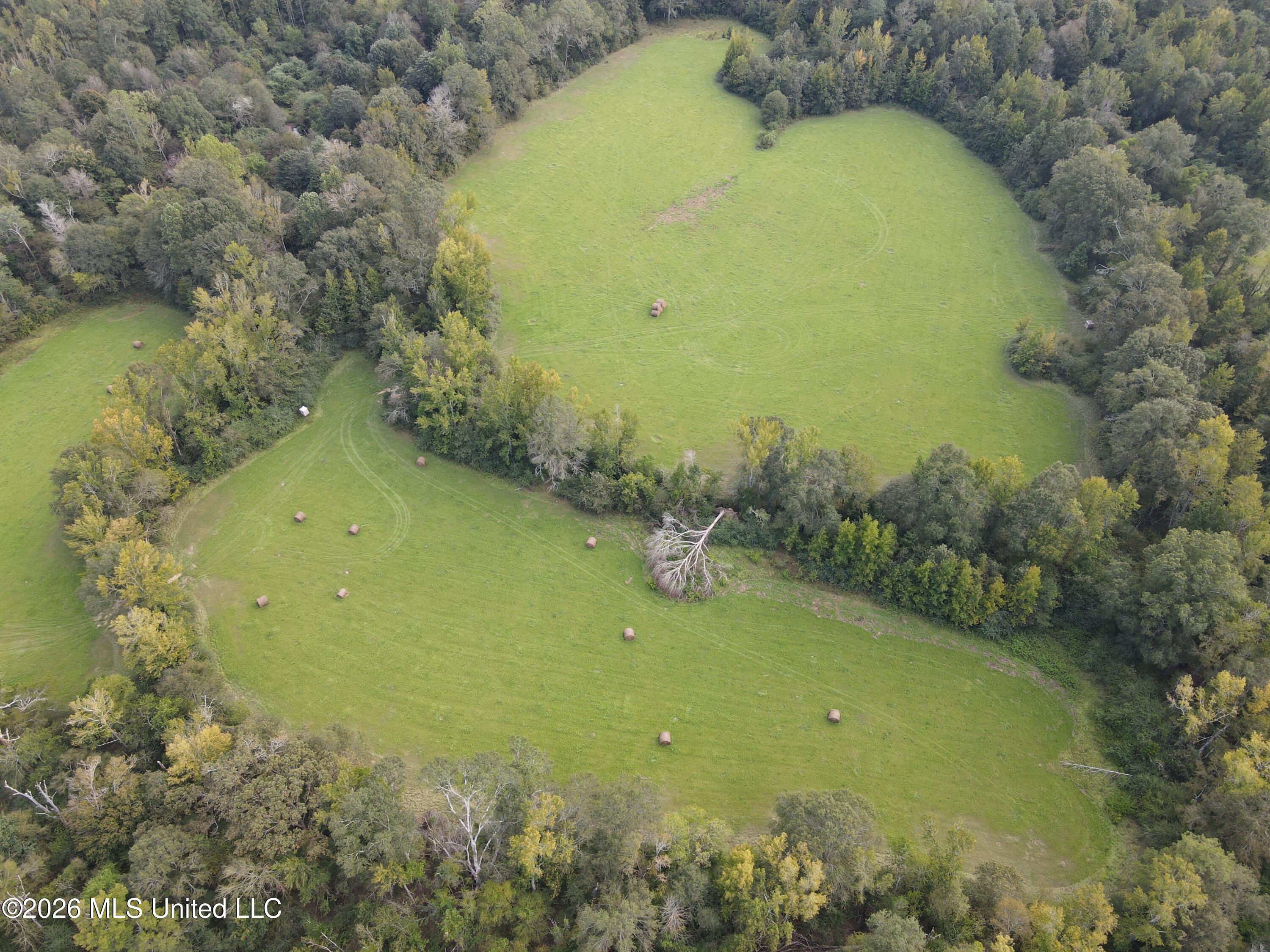 Busby Trail Property Photo 6