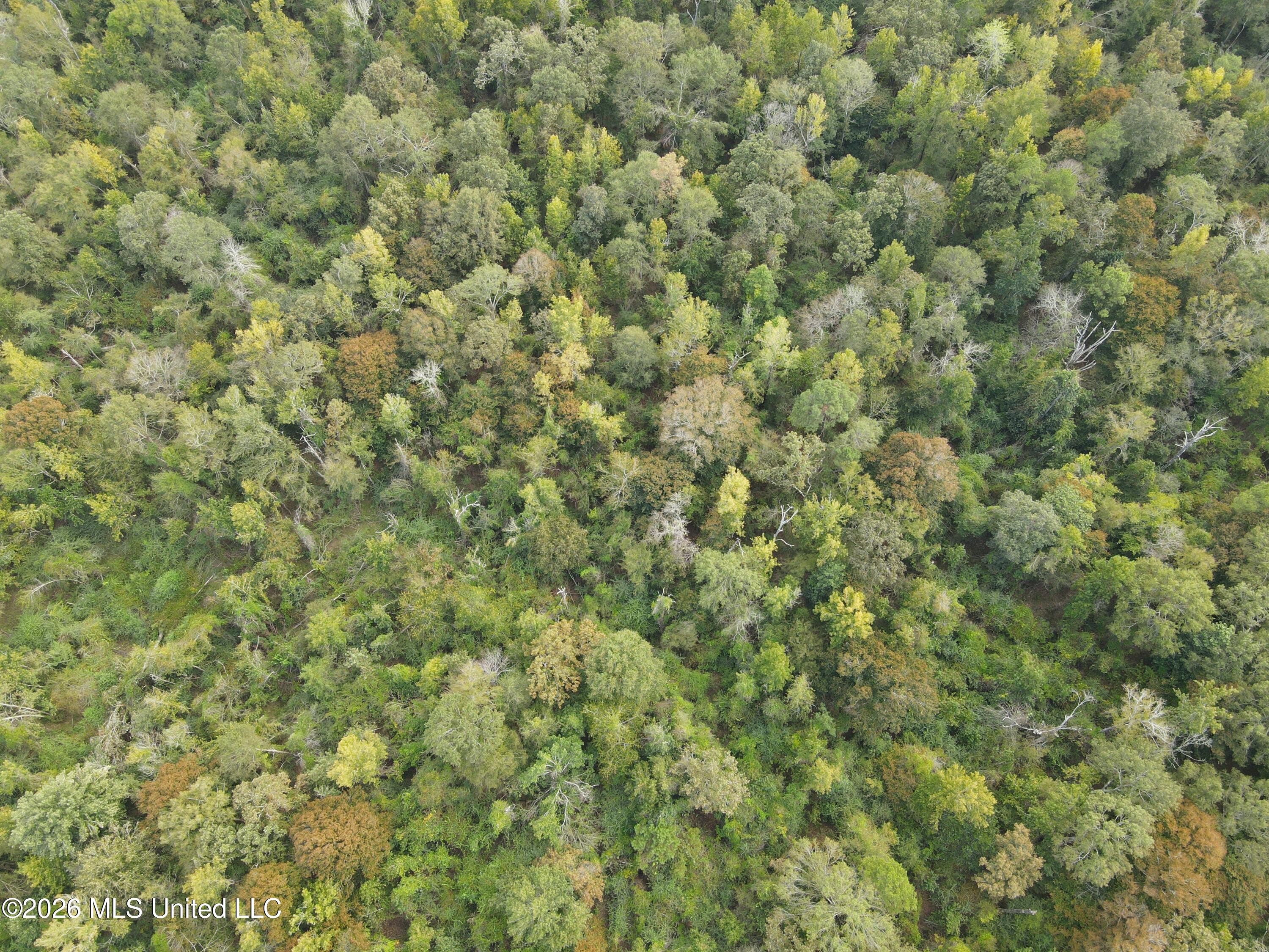 Busby Trail Property Photo 7