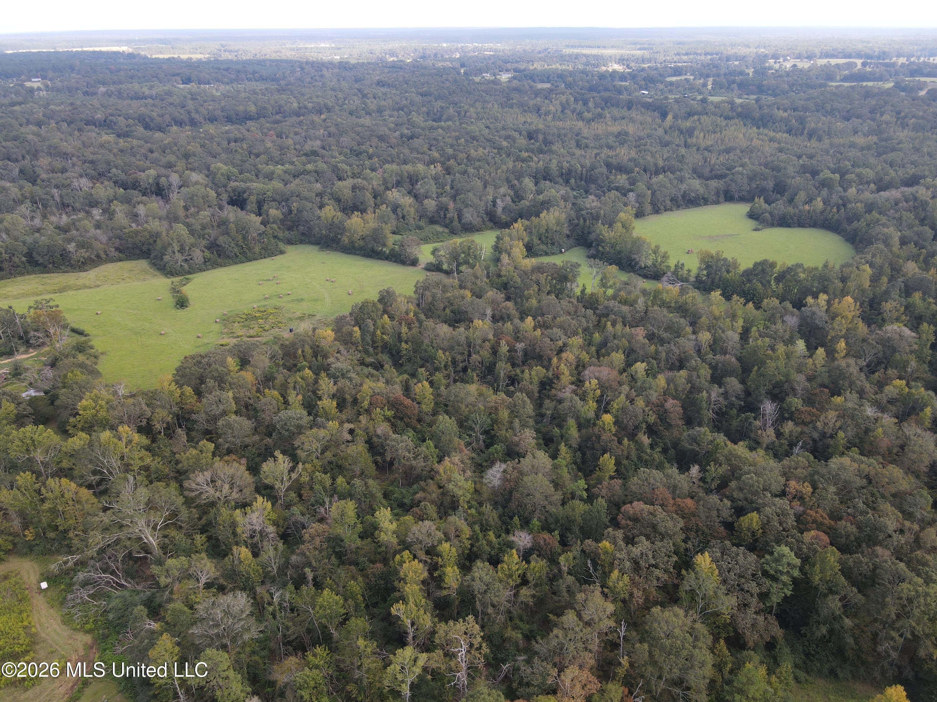 Busby Trail Property Photo 8