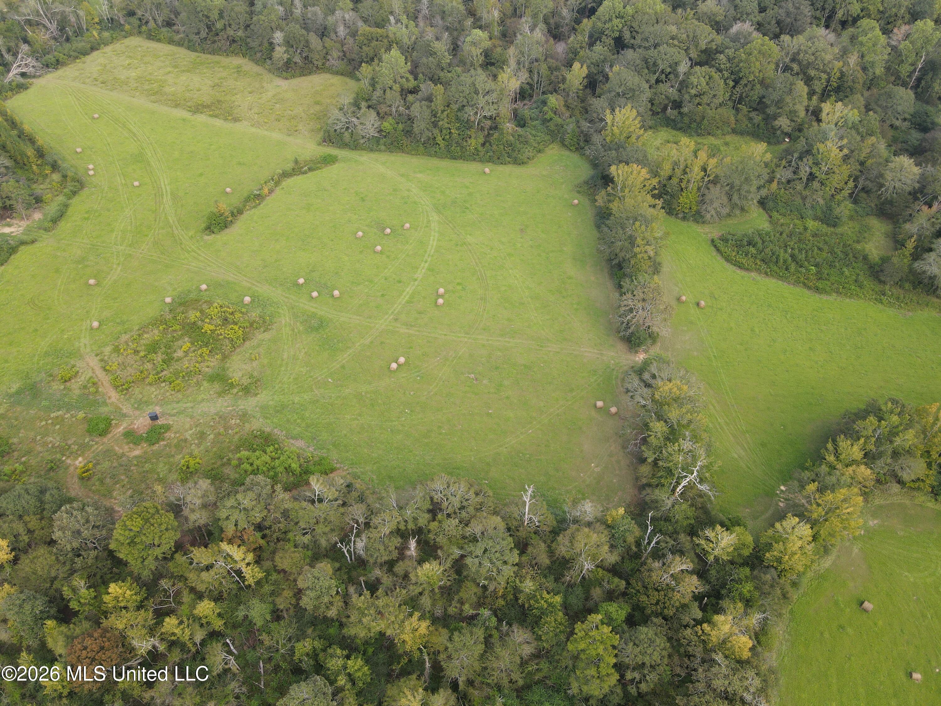 Busby Trail Property Photo 11