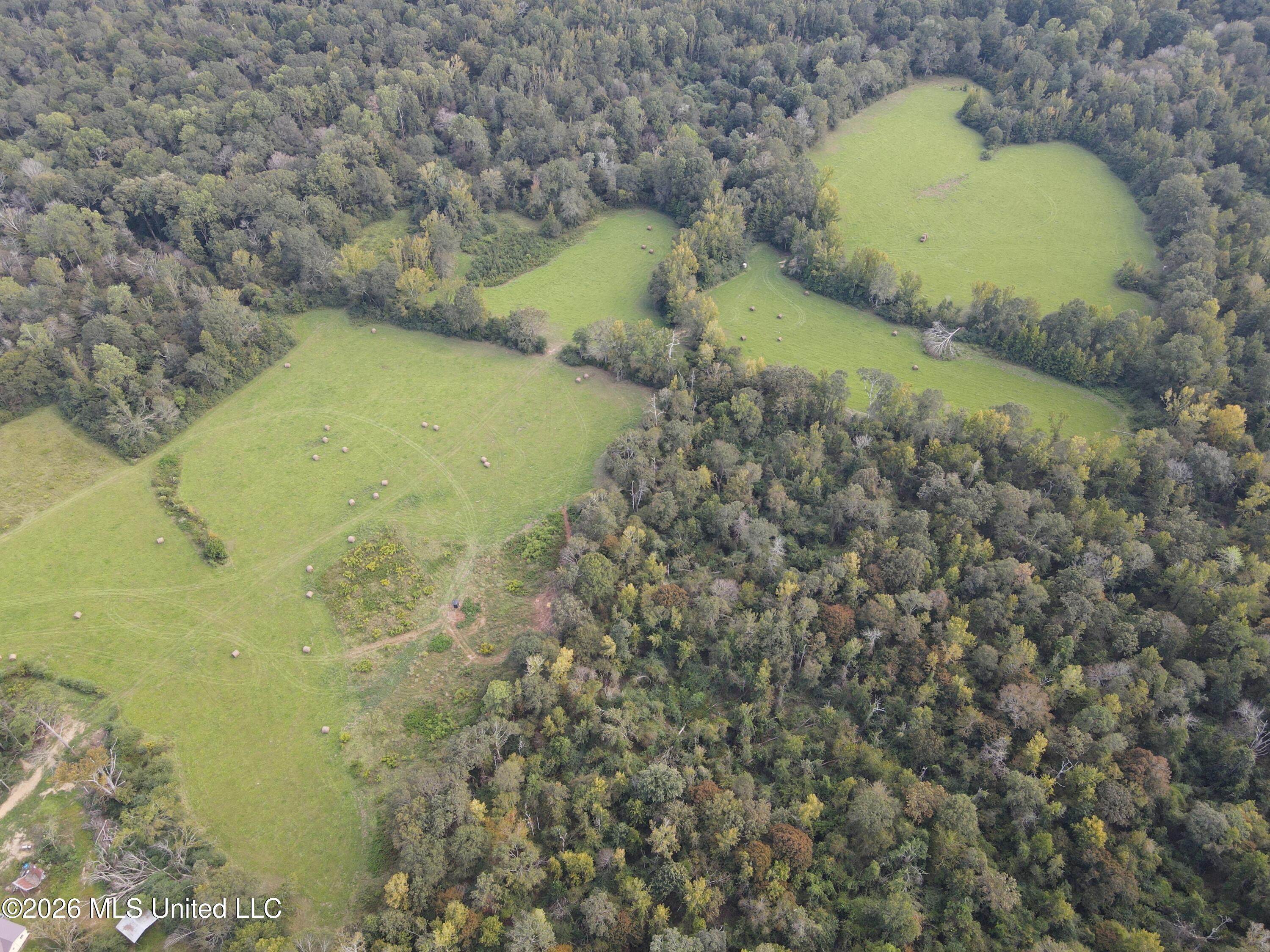 Busby Trail Property Photo 12