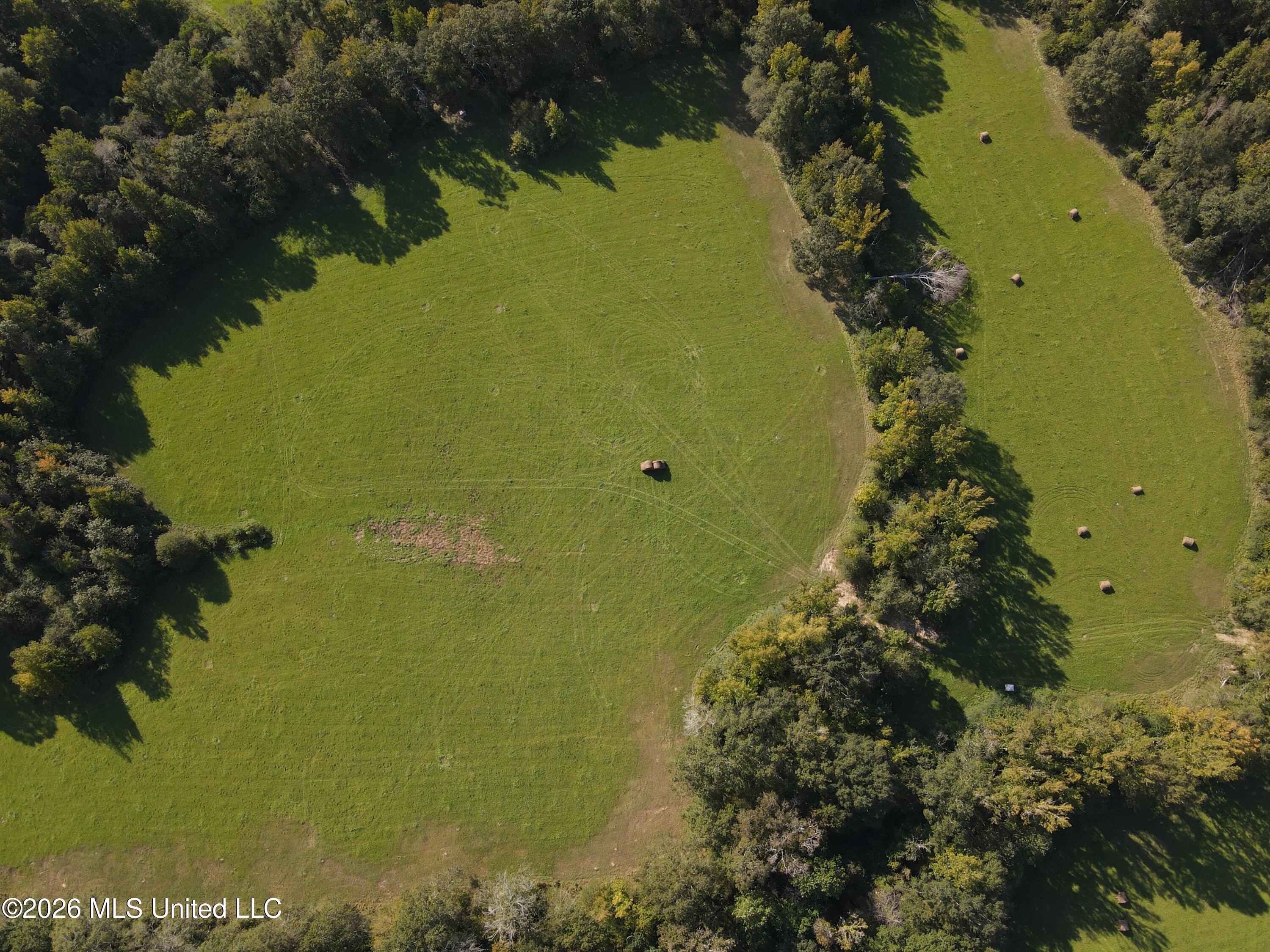 Busby Trail Property Photo 13