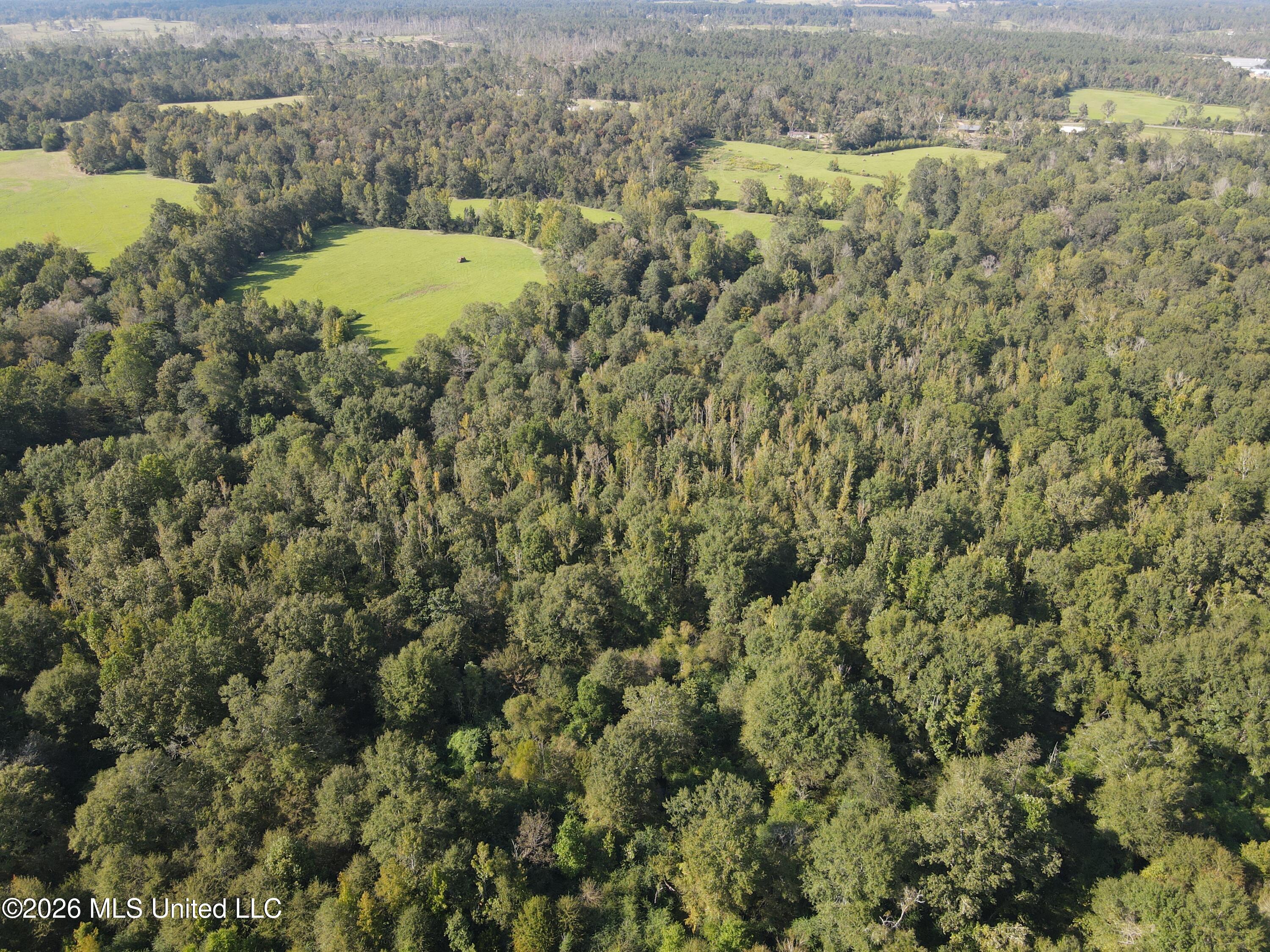 Busby Trail Property Photo 15