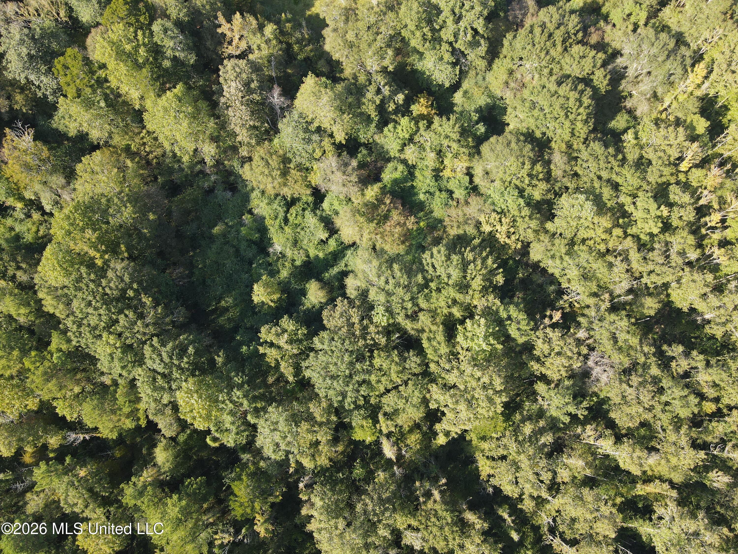 Busby Trail Property Photo 16