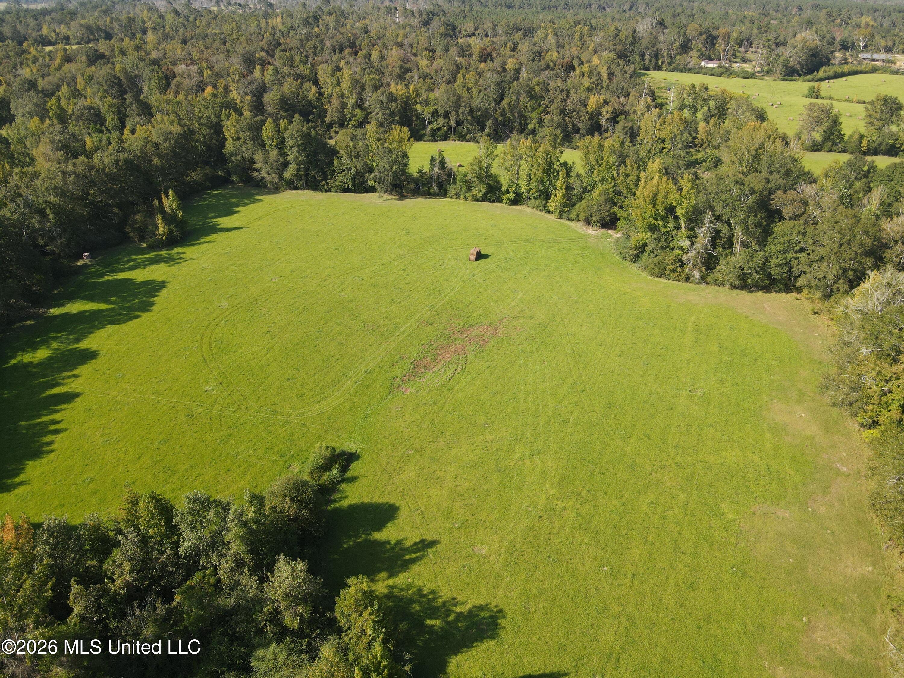 Busby Trail Property Photo 17