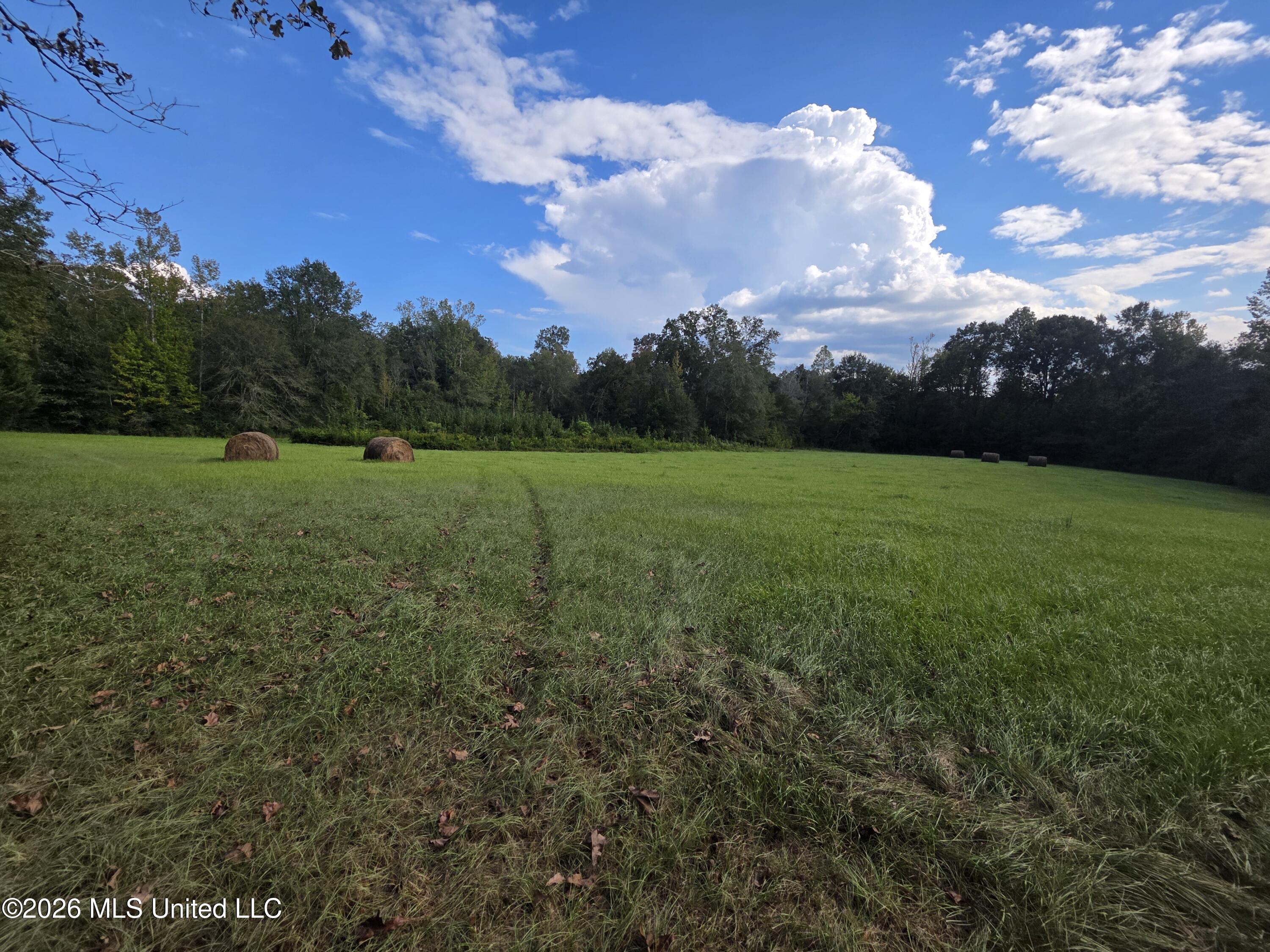 Busby Trail Property Photo 18