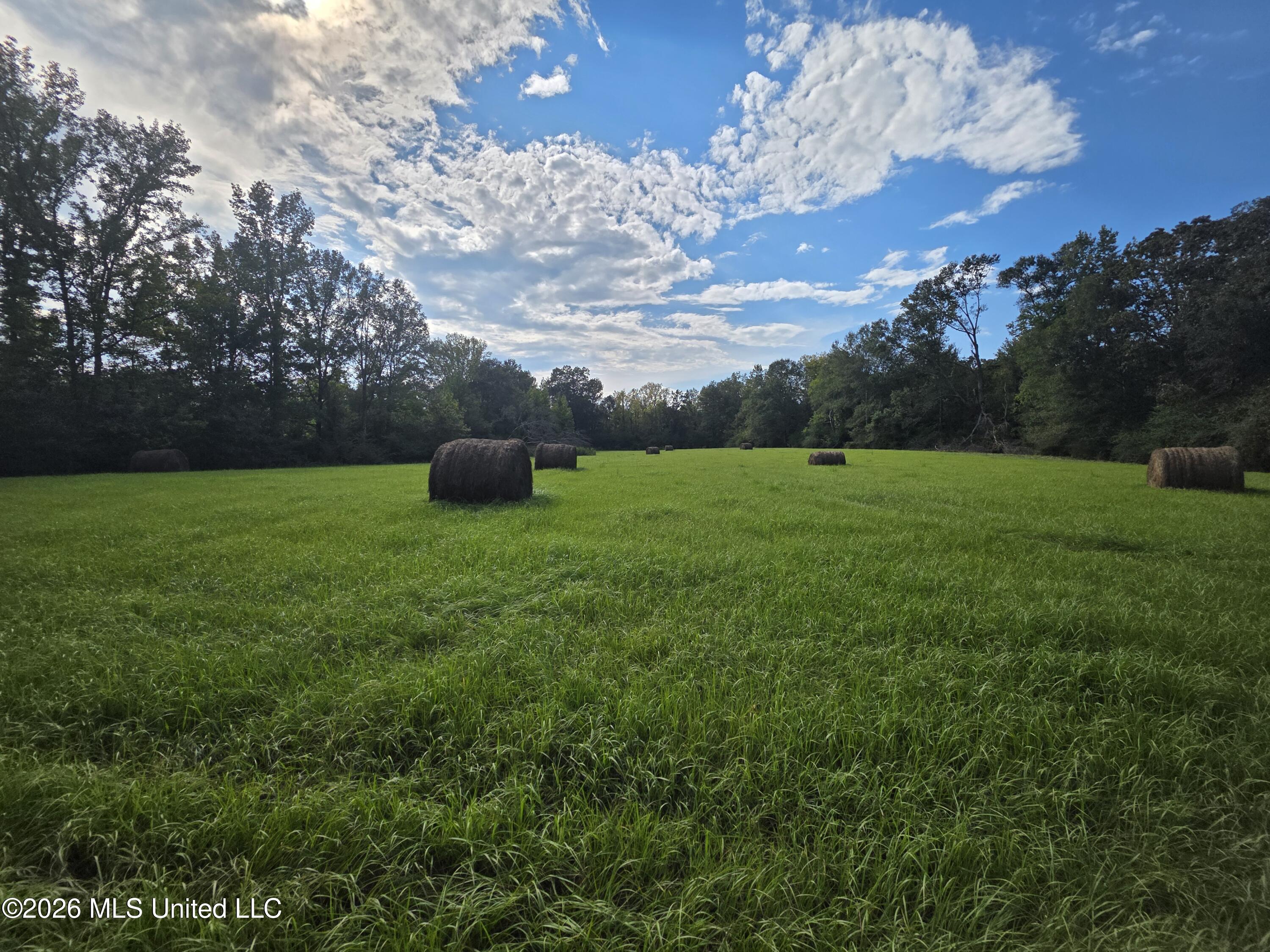 Busby Trail Property Photo 19