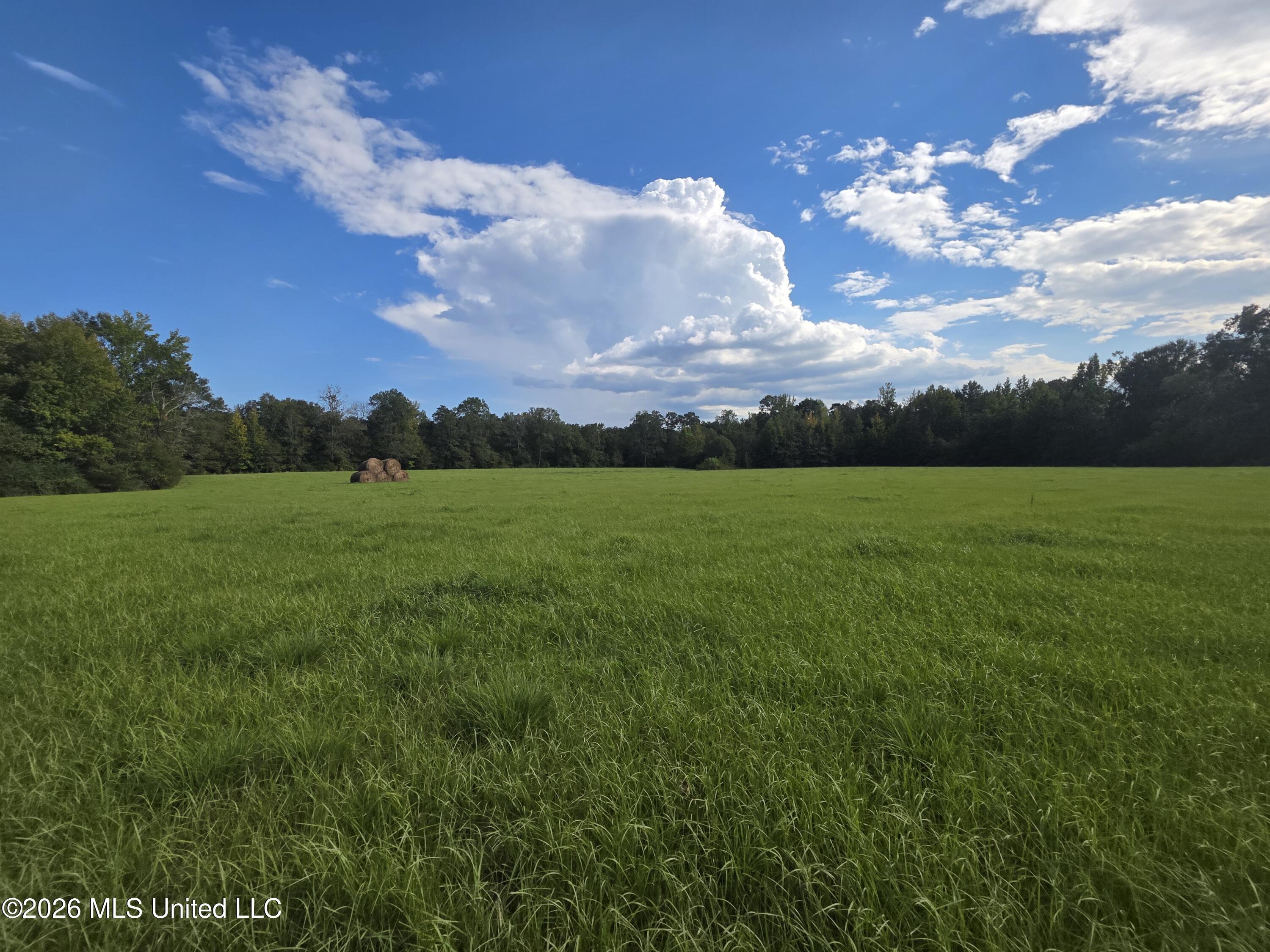 Busby Trail Property Photo 20