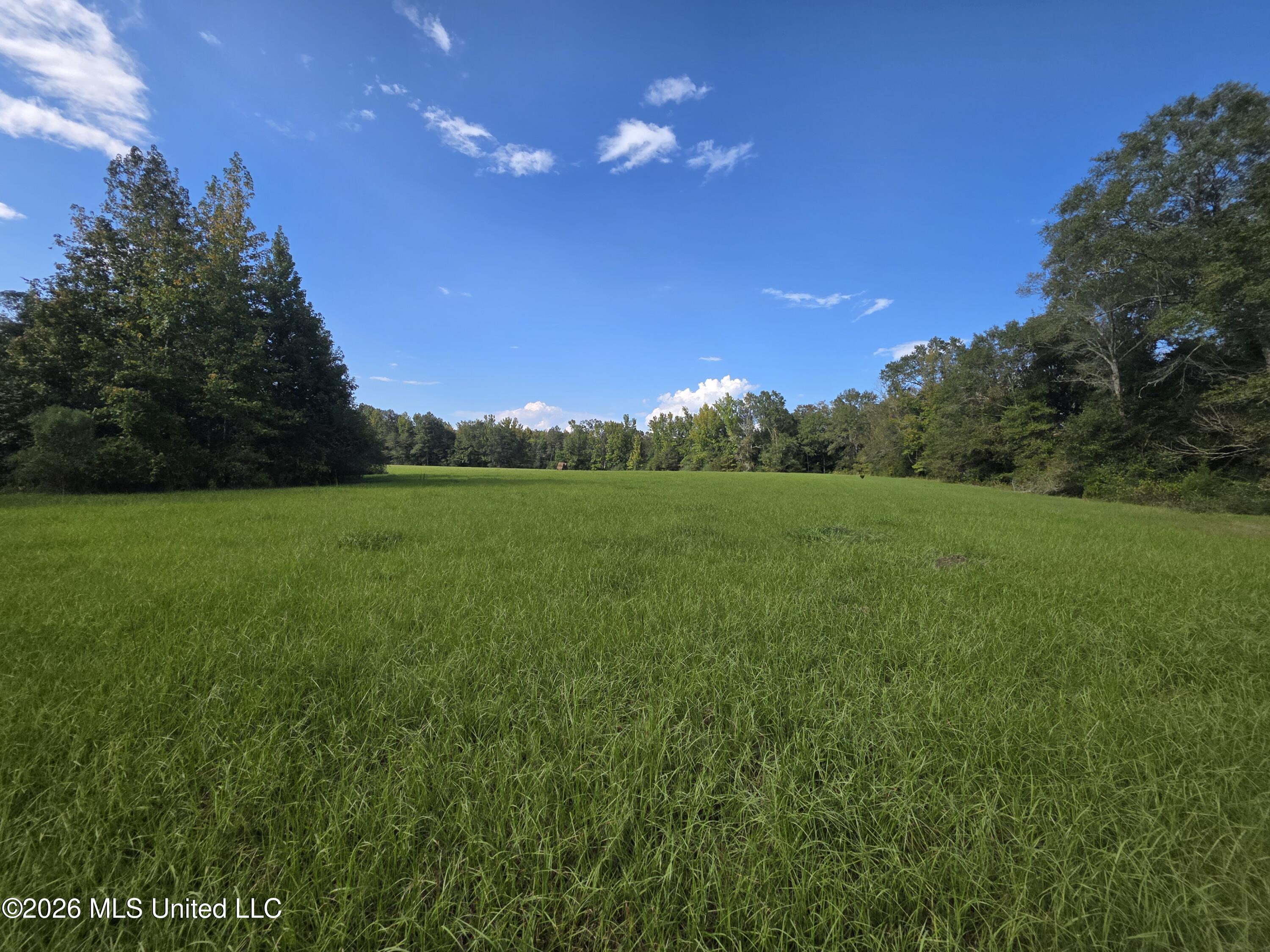Busby Trail Property Photo 21