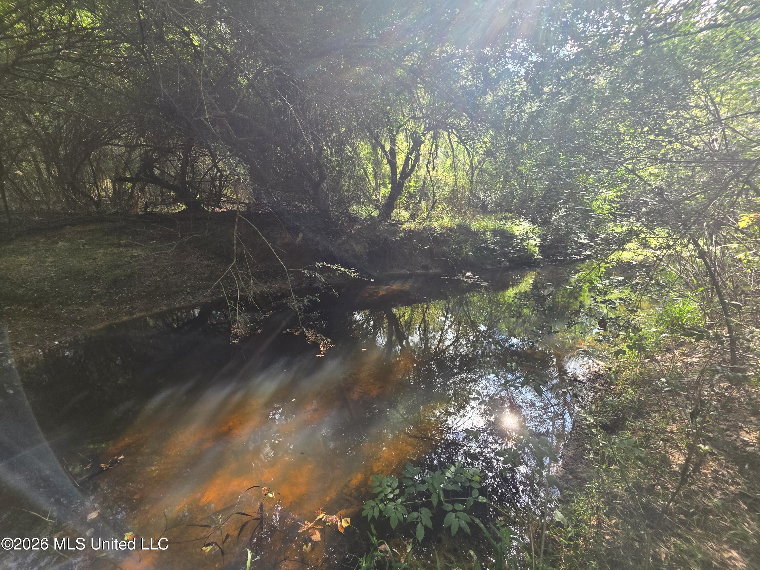 Busby Trail Property Photo 22
