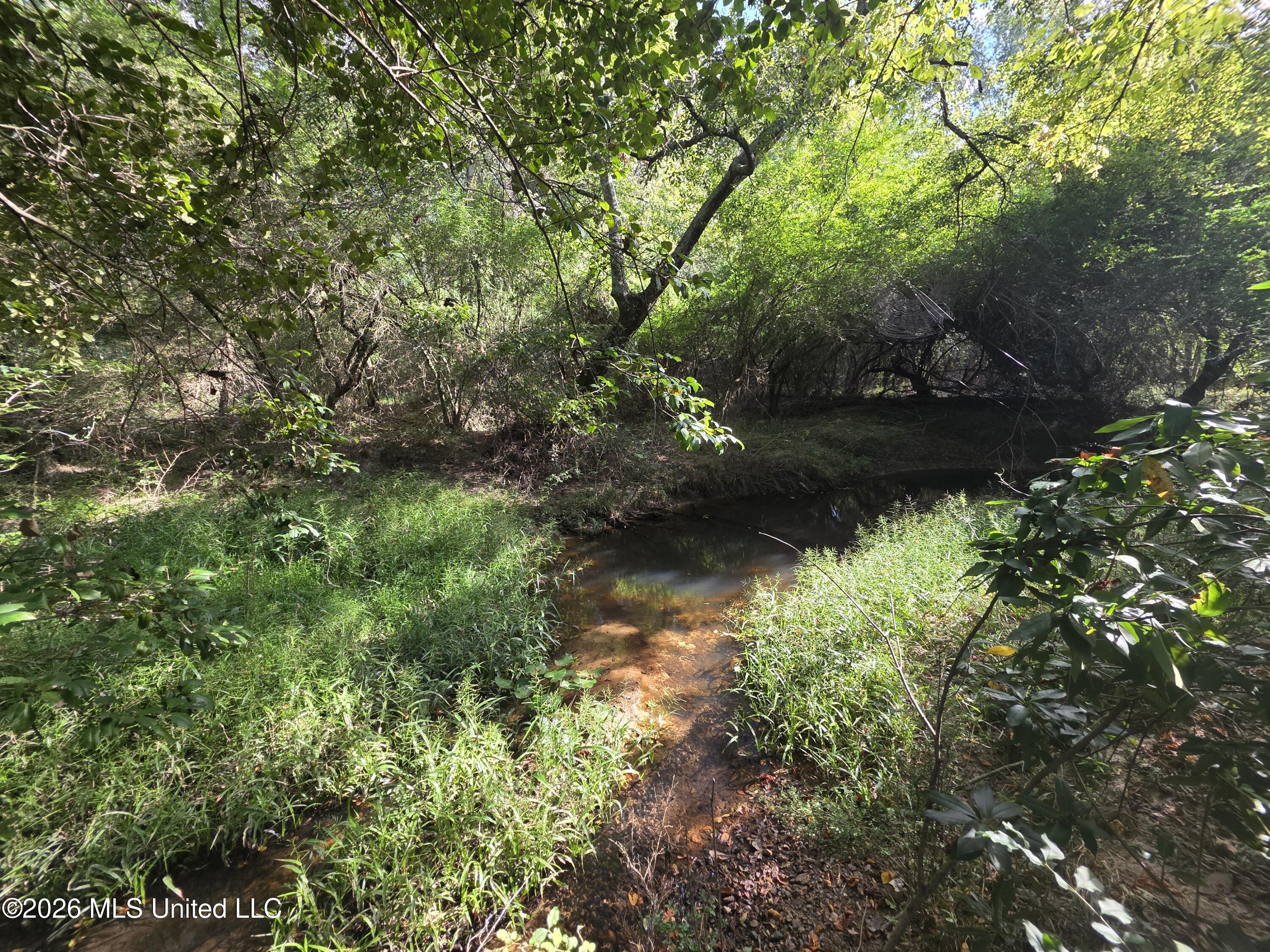 Busby Trail Property Photo 23