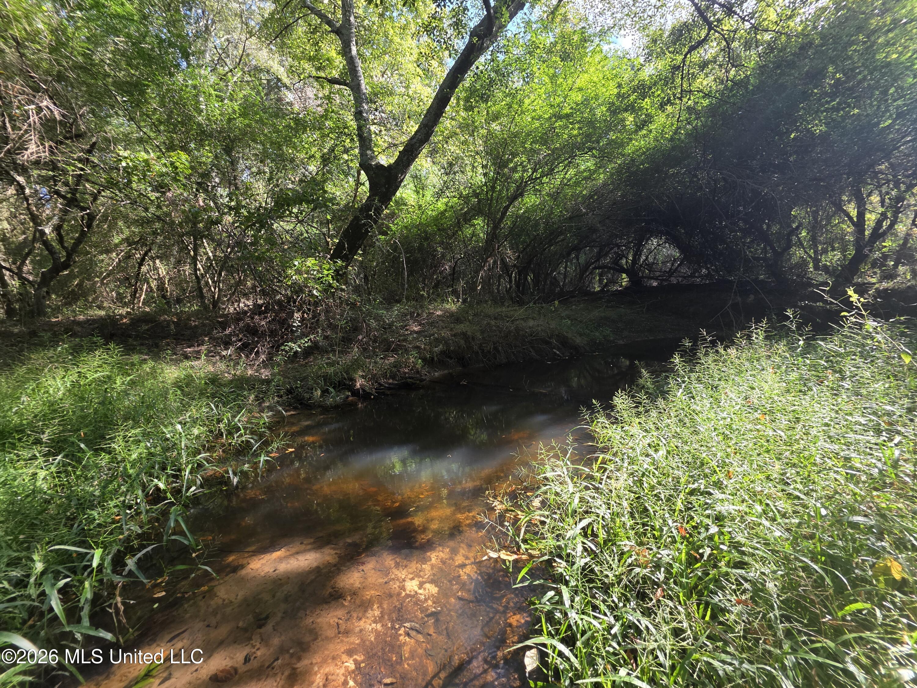 Busby Trail Property Photo 24