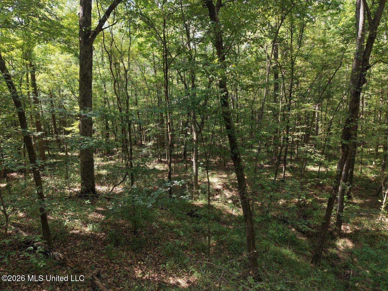 Anna Bess Lane Property Photo 8