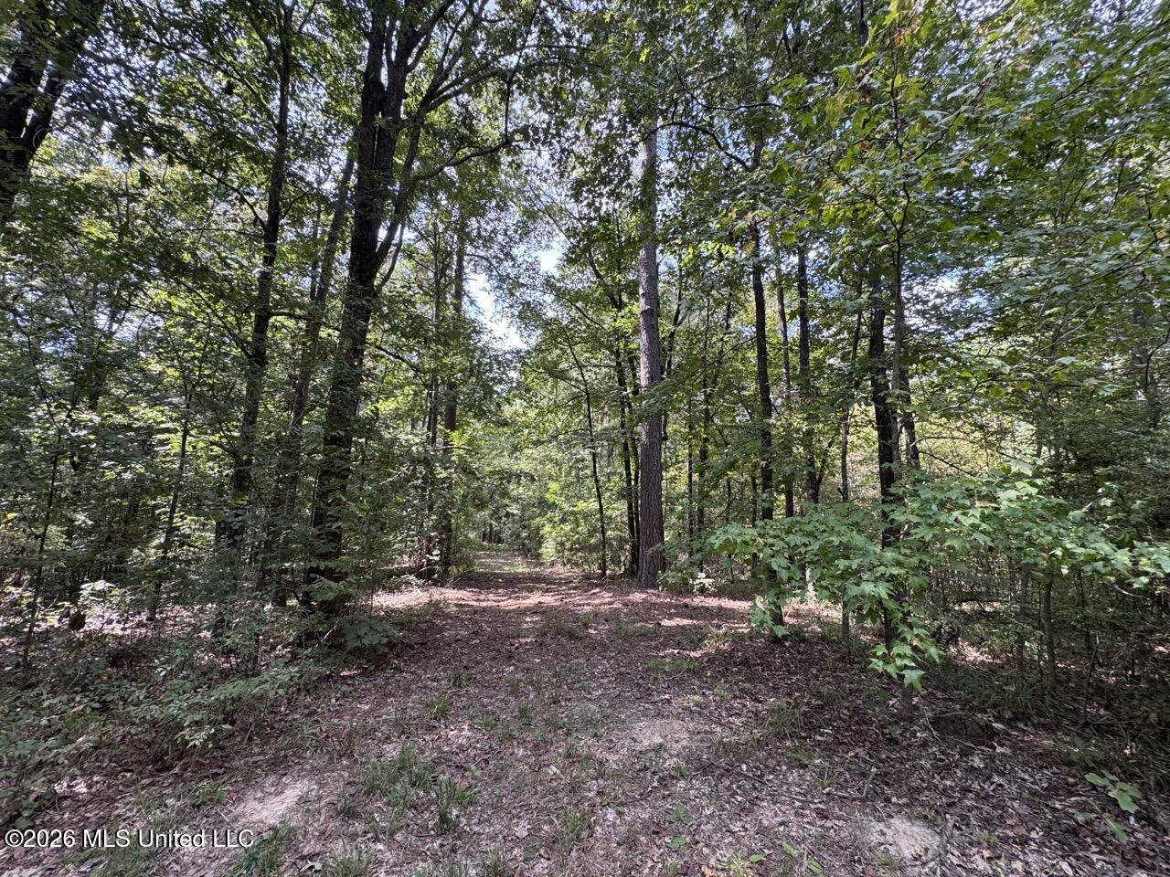 Anna Bess Lane Property Photo 14