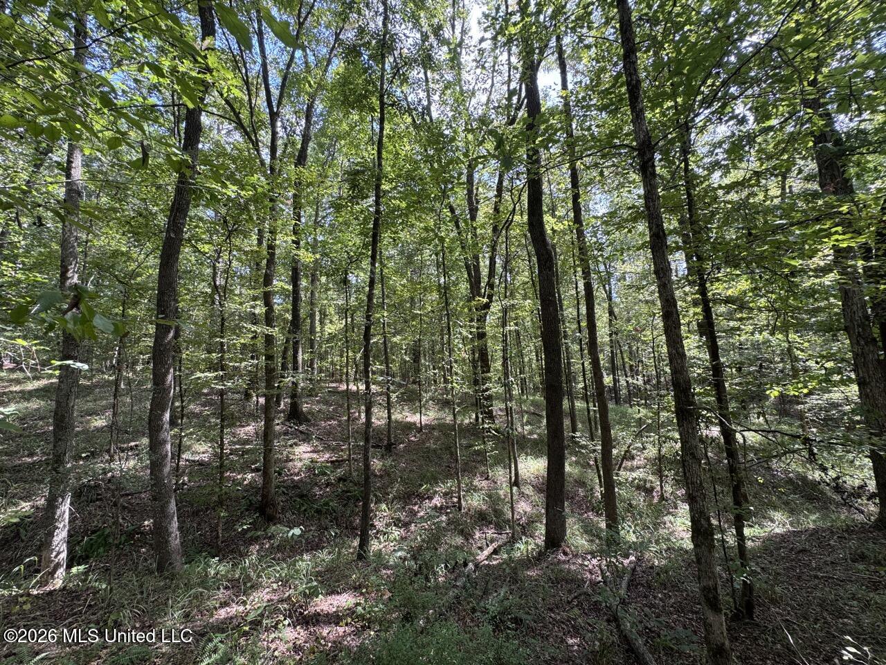 Anna Bess Lane Property Photo 15