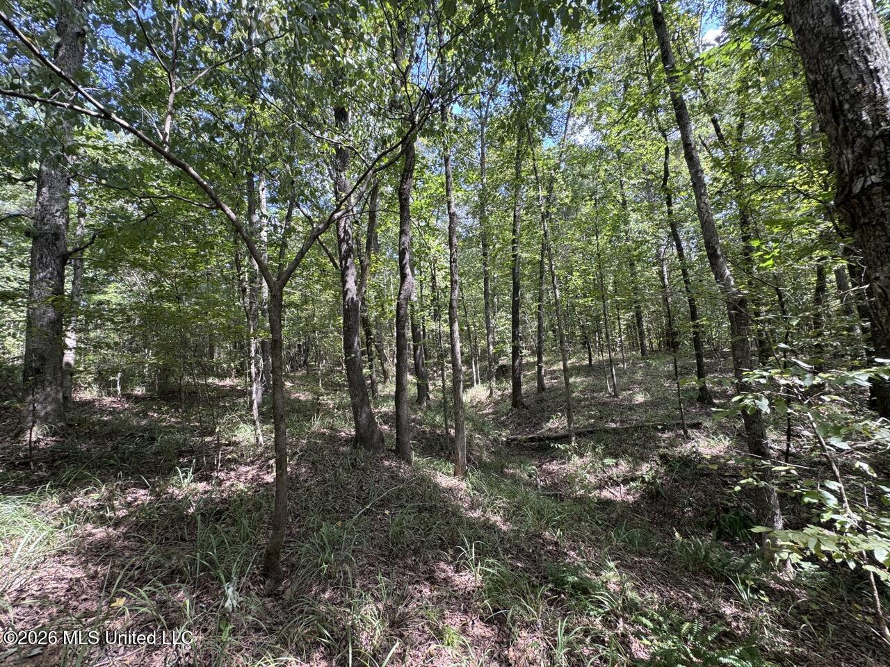 Anna Bess Lane Property Photo 16