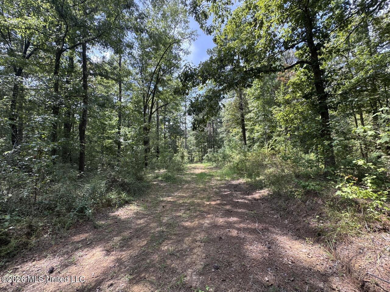 Anna Bess Lane Property Photo 17