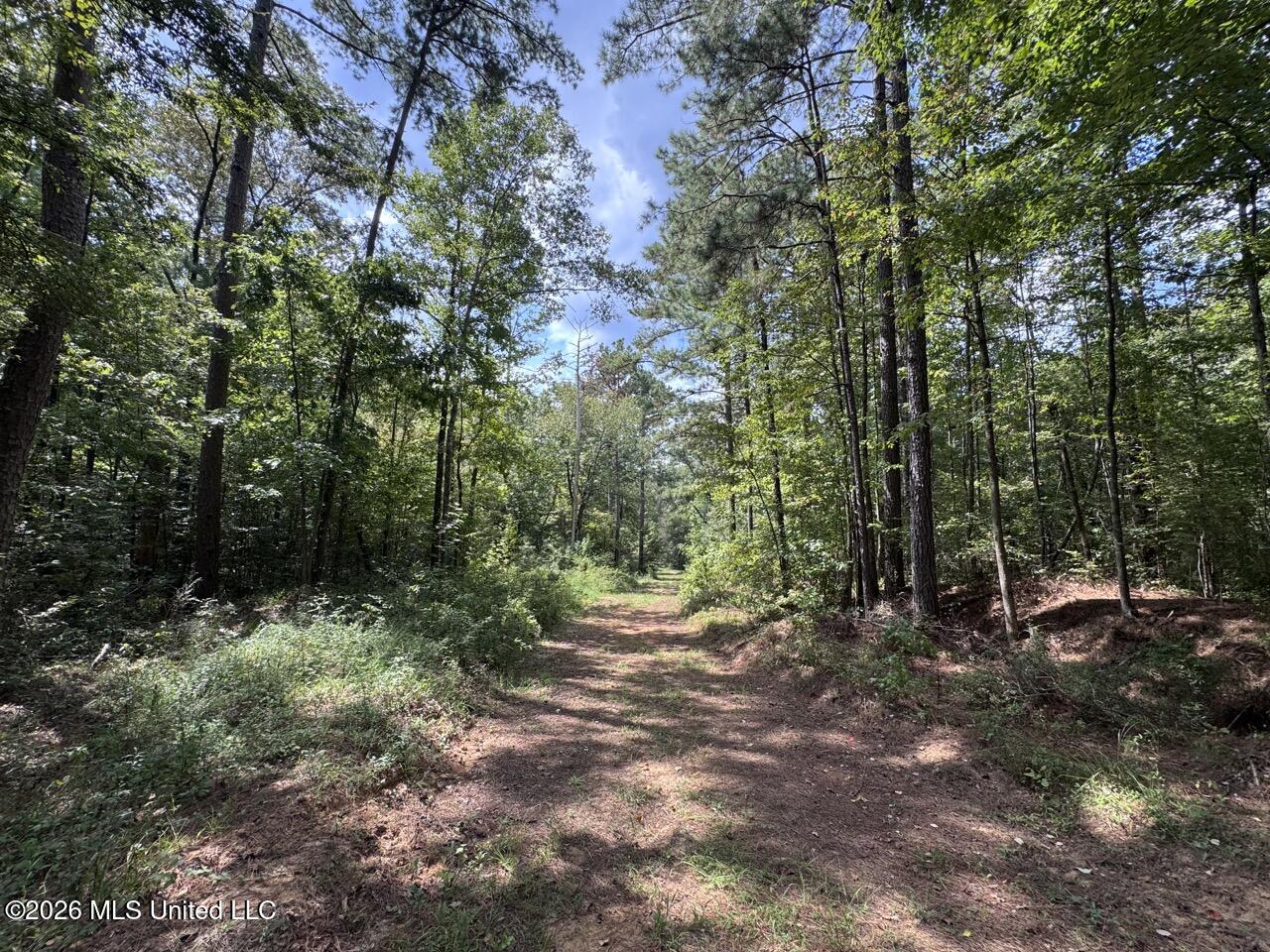Anna Bess Lane Property Photo 18