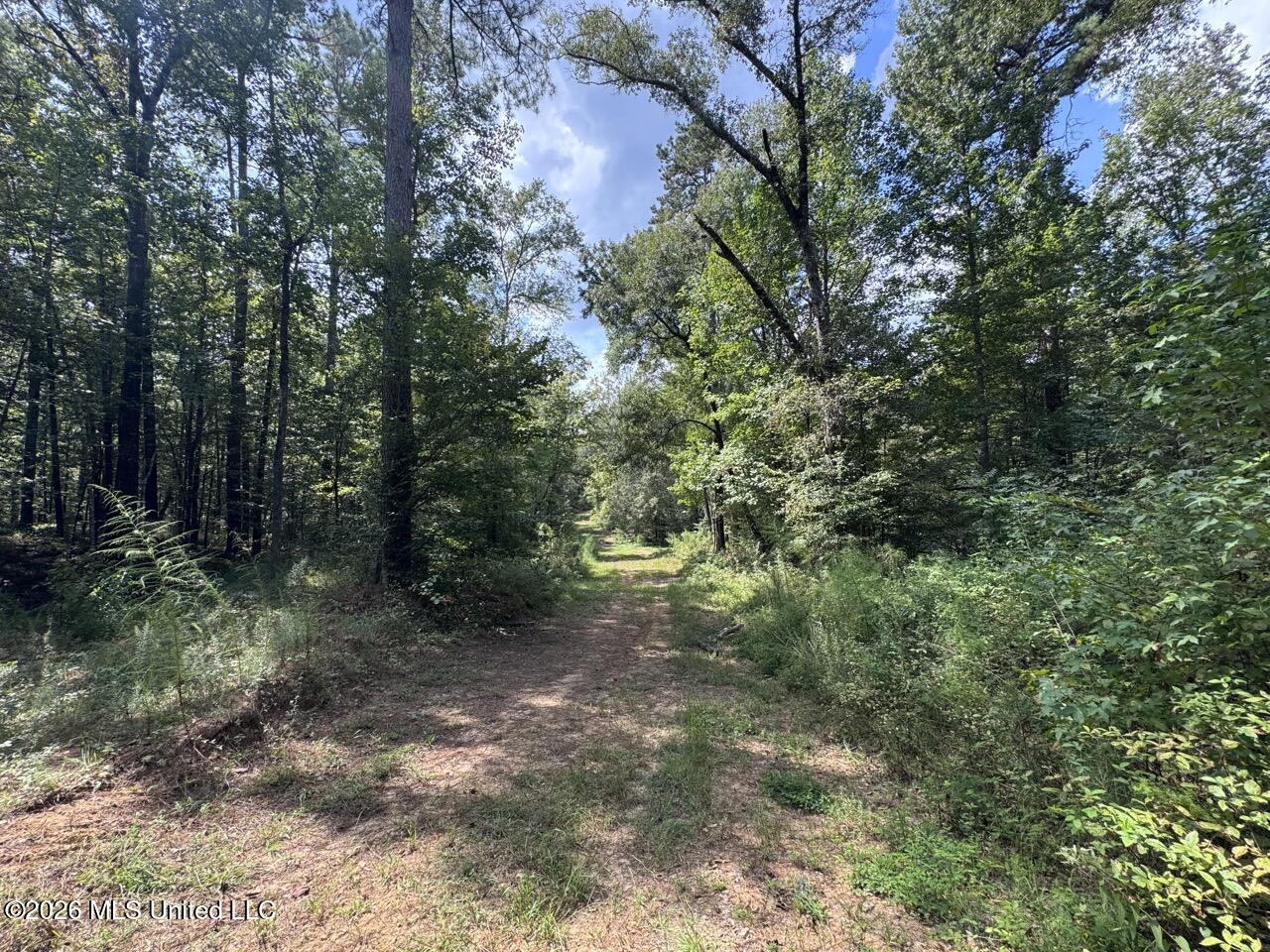 Anna Bess Lane Property Photo 19