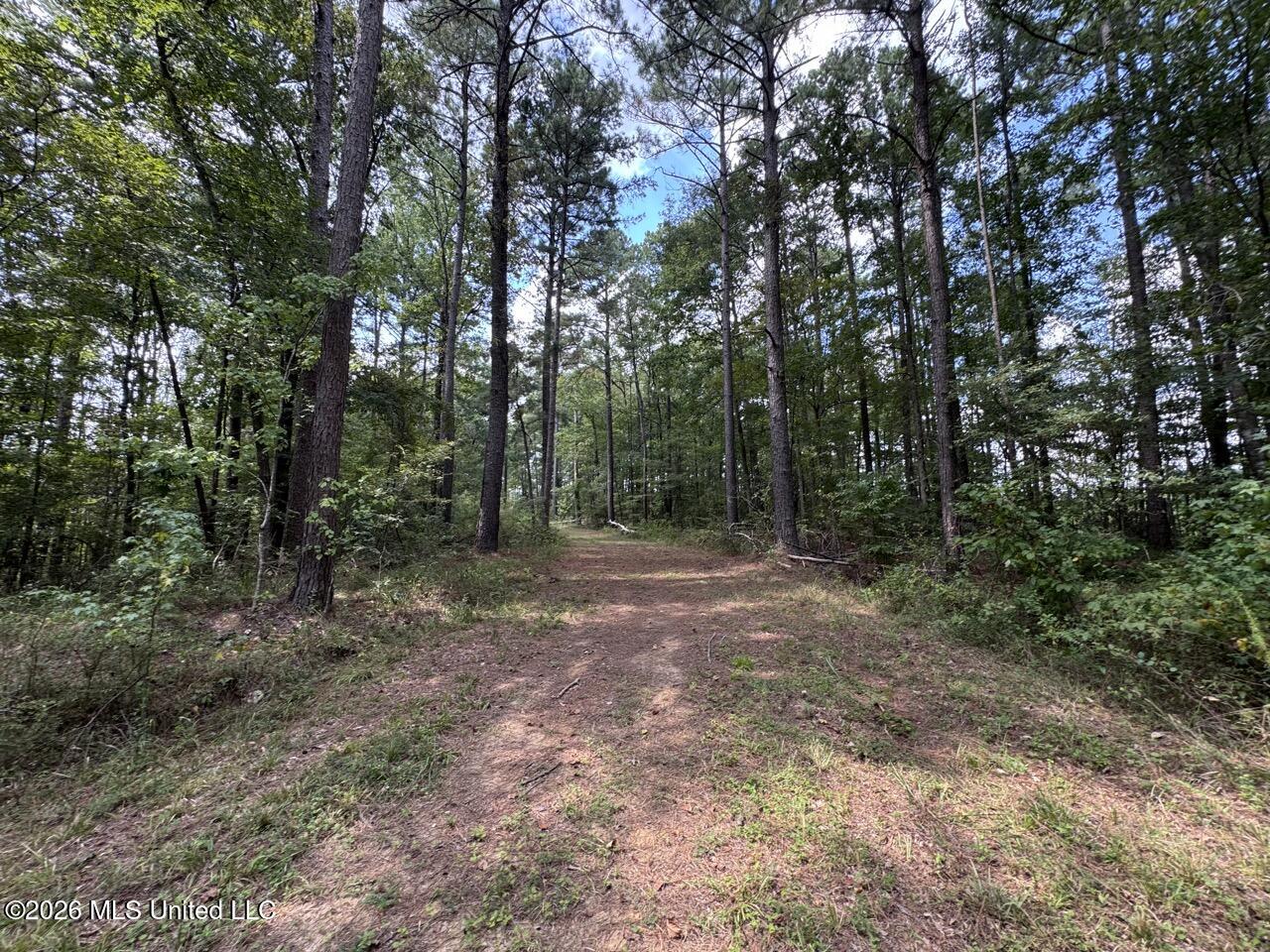 Anna Bess Lane Property Photo 20