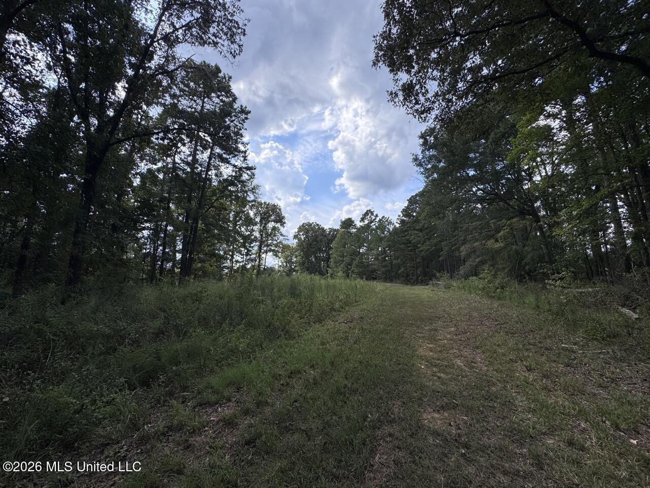 Anna Bess Lane Property Photo 21