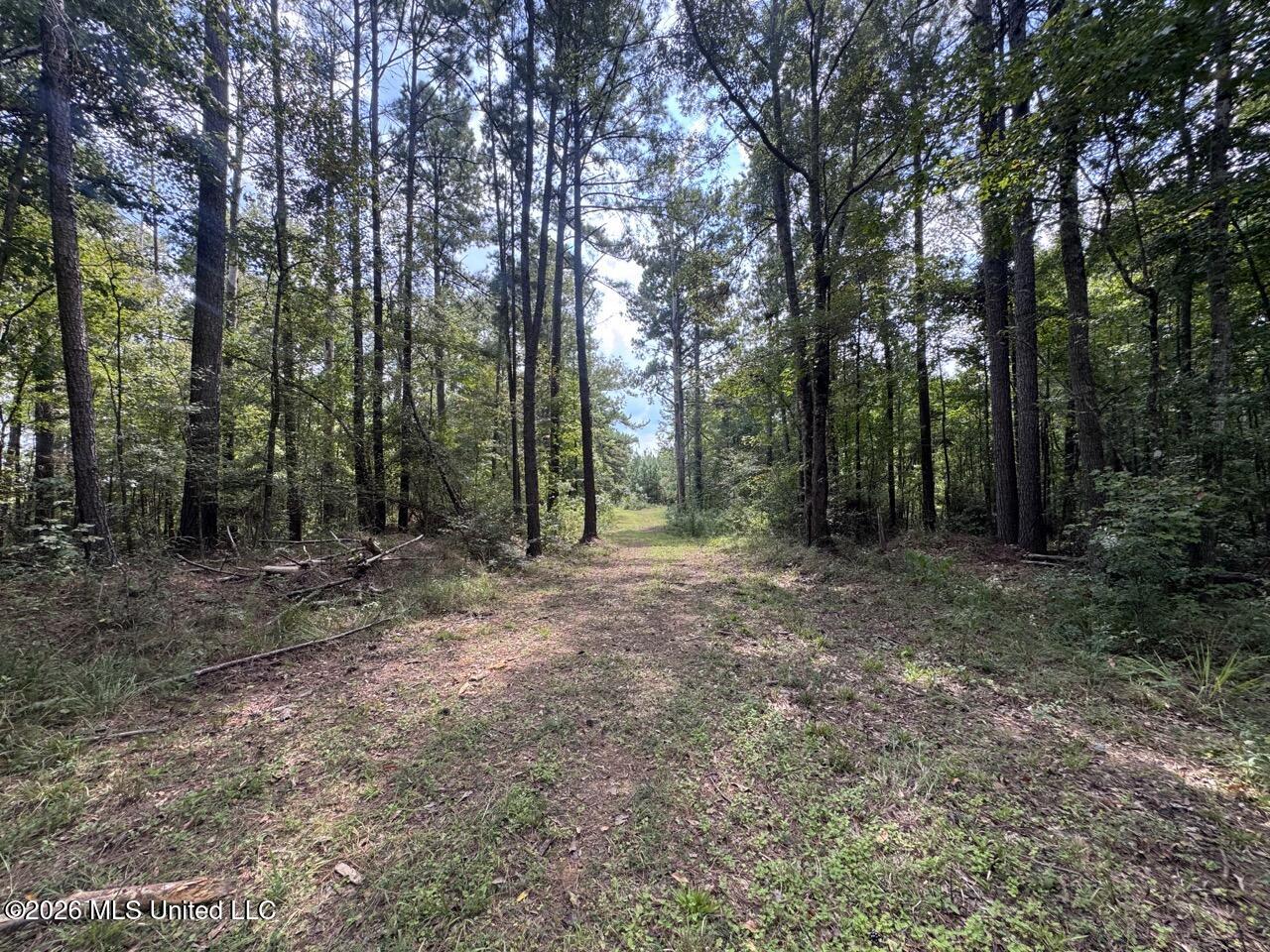 Anna Bess Lane Property Photo 25
