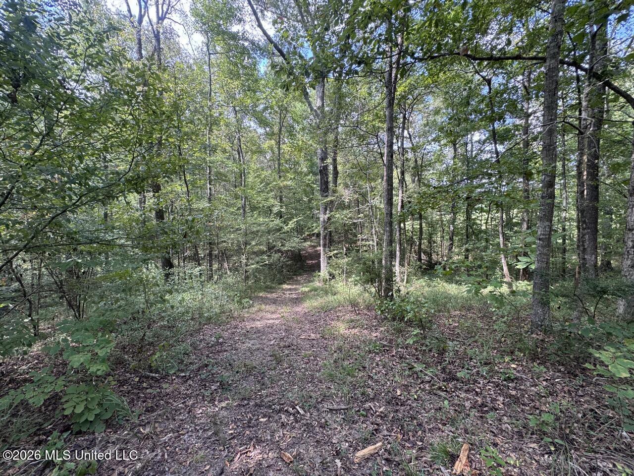Anna Bess Lane Property Photo 26
