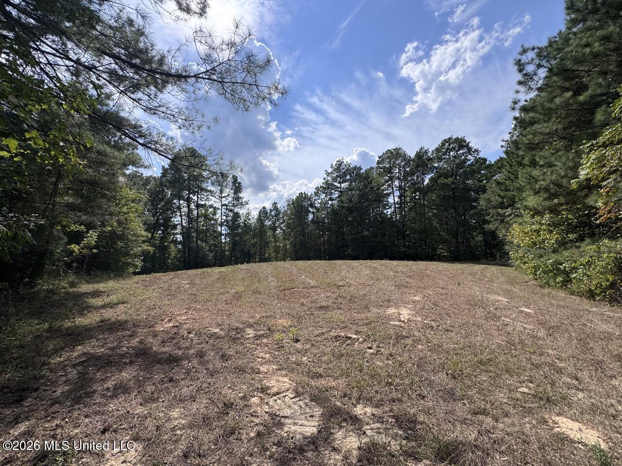 Anna Bess Lane Property Photo 28