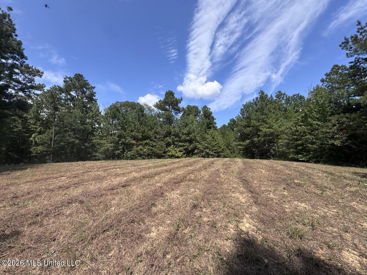 Anna Bess Lane Property Photo 31