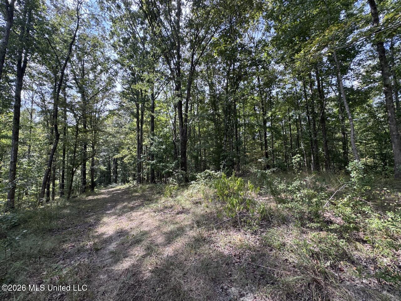 Anna Bess Lane Property Photo 37