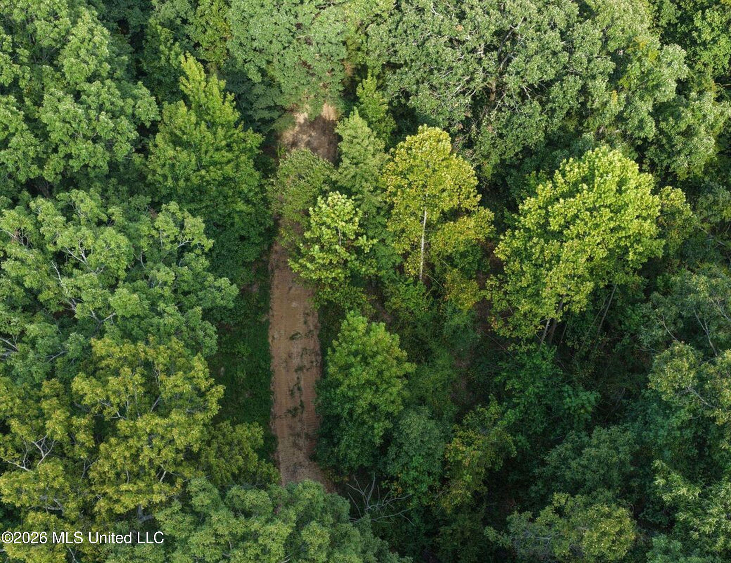 173 Cascilla Road Property Photo 10