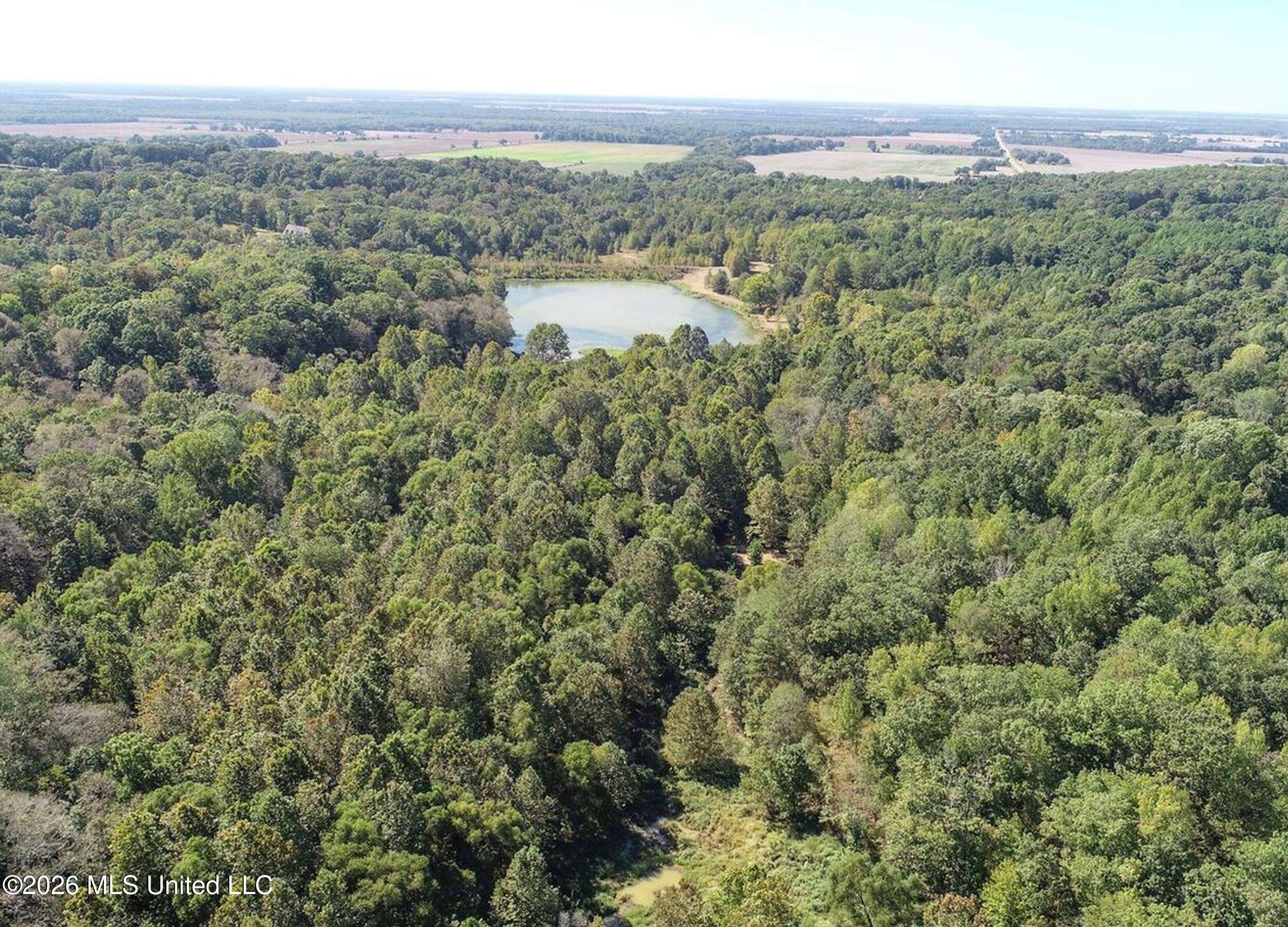 173 Cascilla Road Property Photo 13