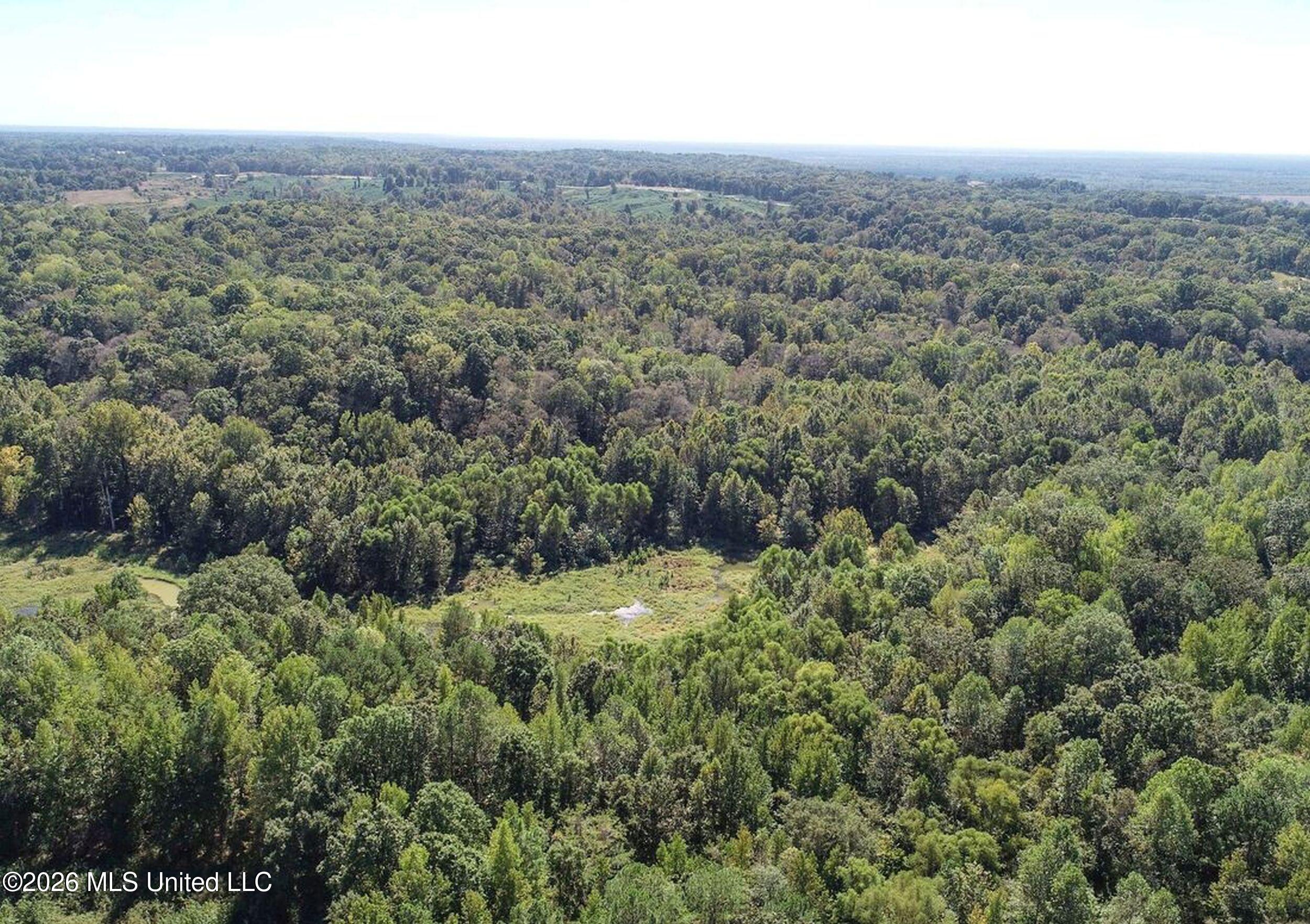 173 Cascilla Road Property Photo 14