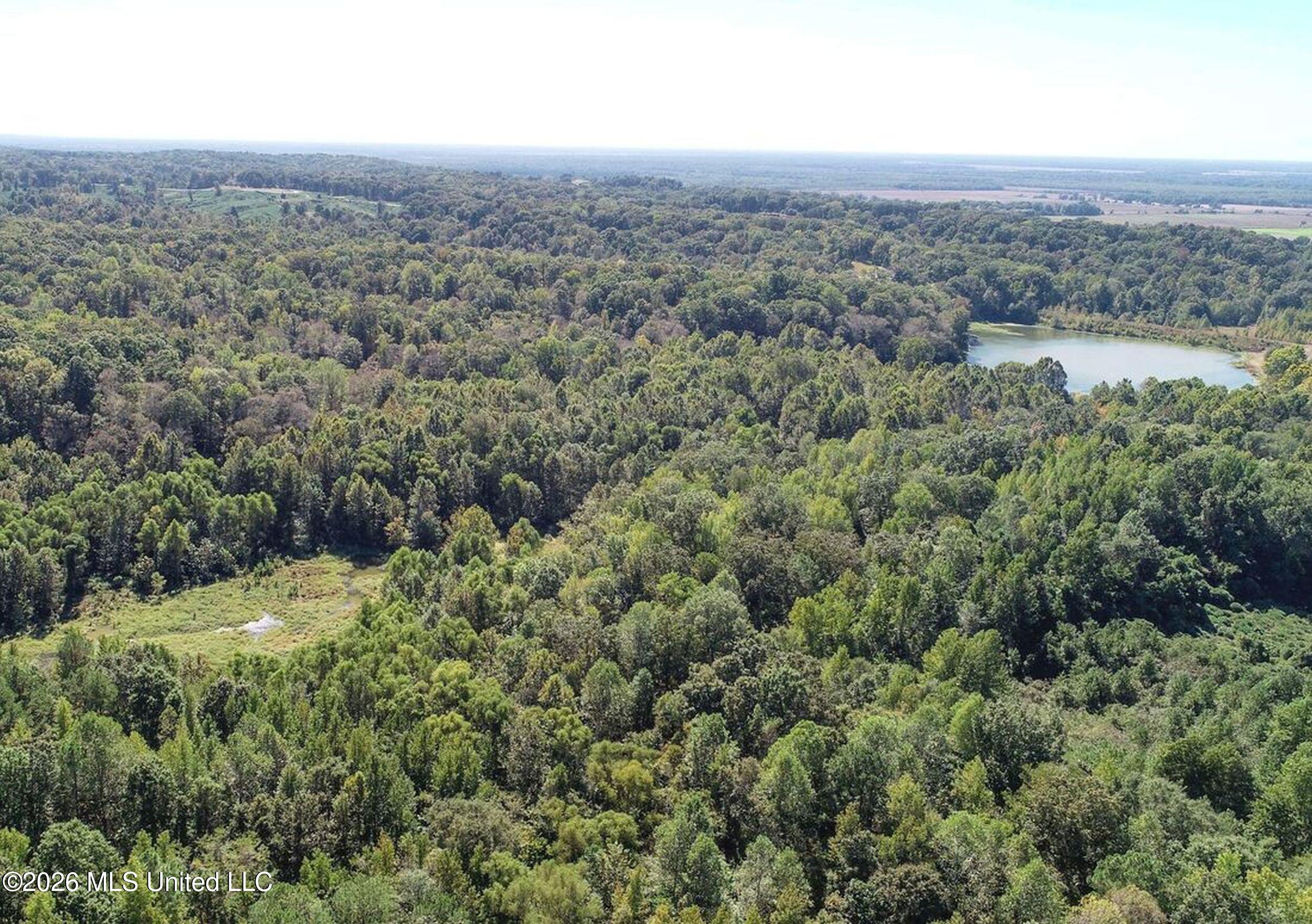 173 Cascilla Road Property Photo 15