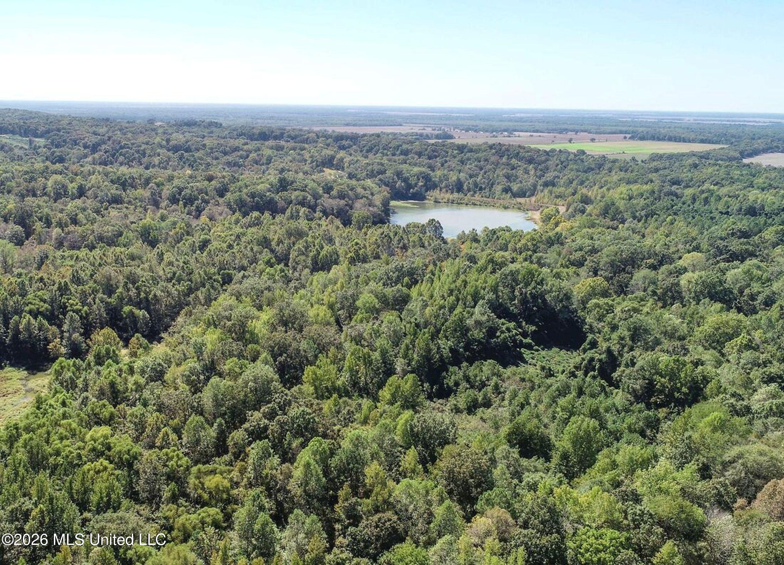 173 Cascilla Road Property Photo 16