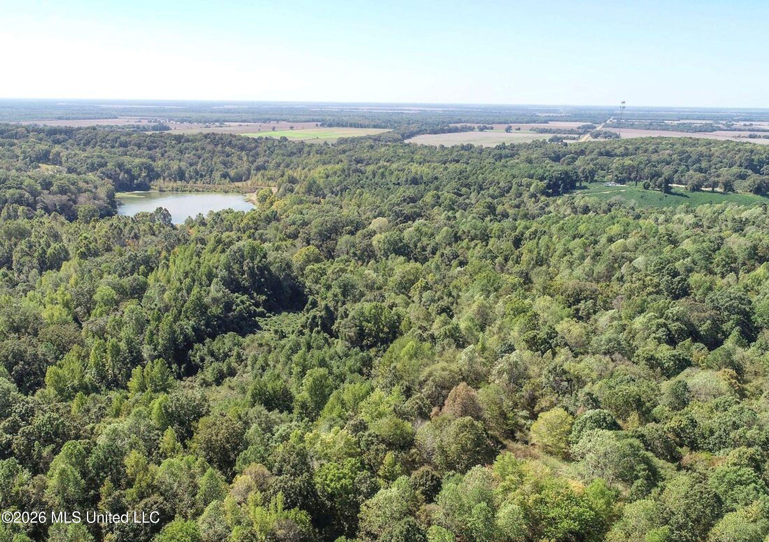 173 Cascilla Road Property Photo 17