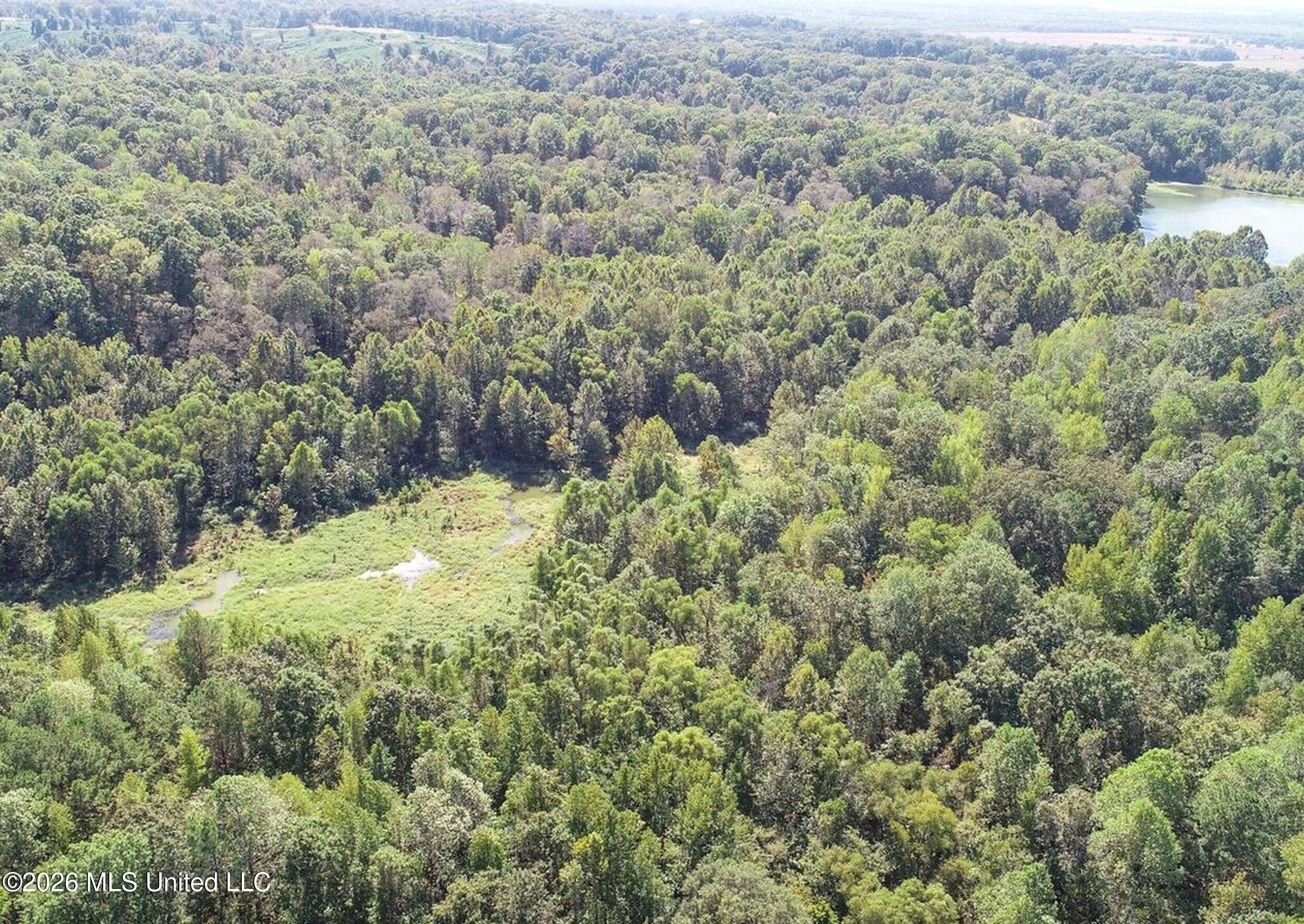173 Cascilla Road Property Photo 18