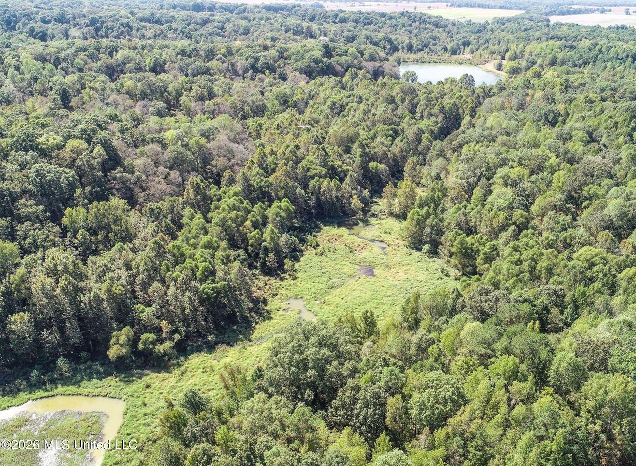 173 Cascilla Road Property Photo 19