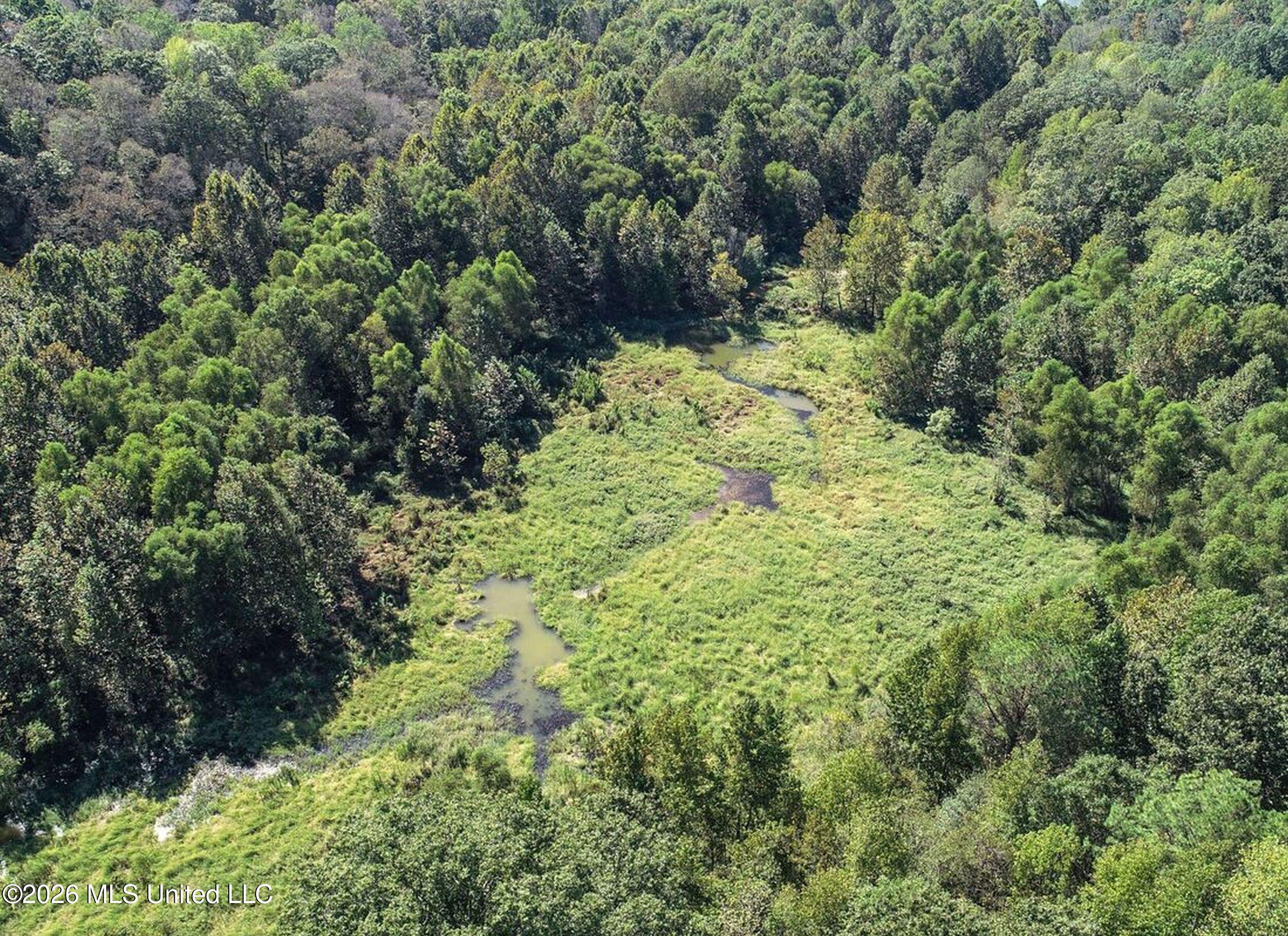 173 Cascilla Road Property Photo 20