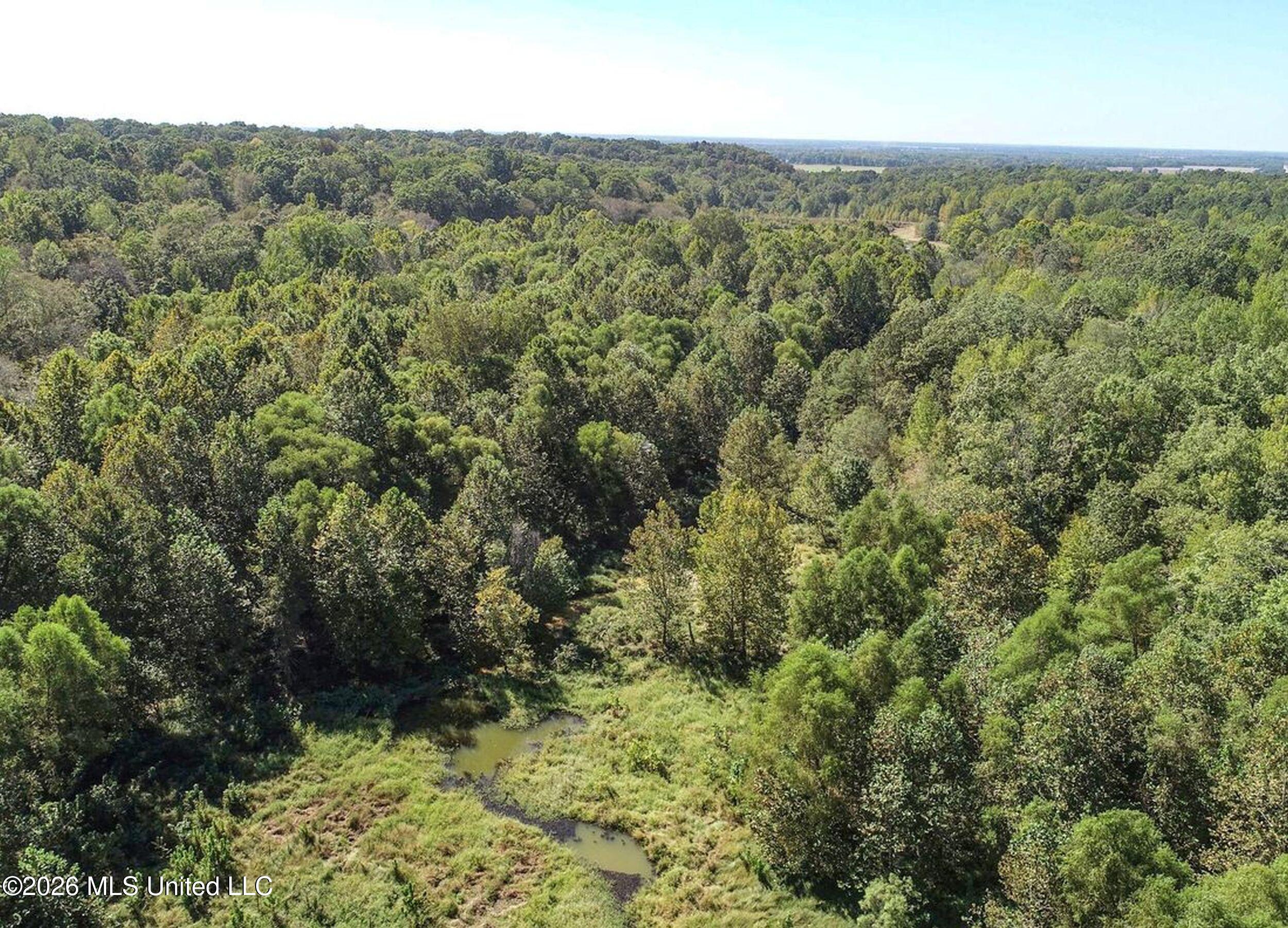 173 Cascilla Road Property Photo 21