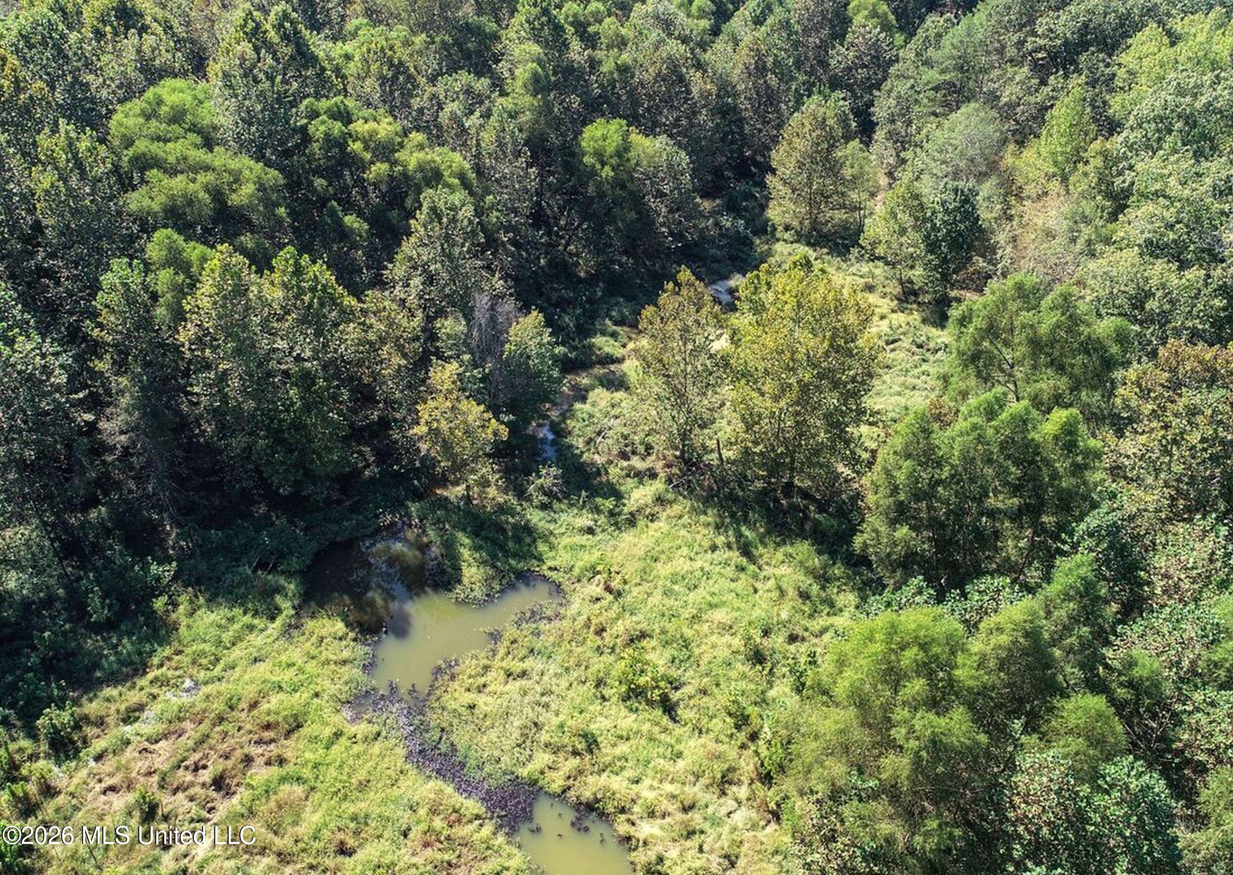 173 Cascilla Road Property Photo 22