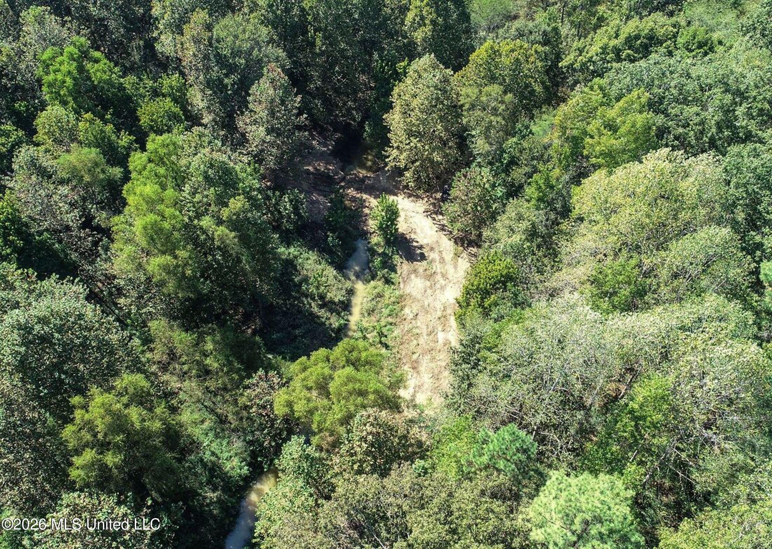 173 Cascilla Road Property Photo 23