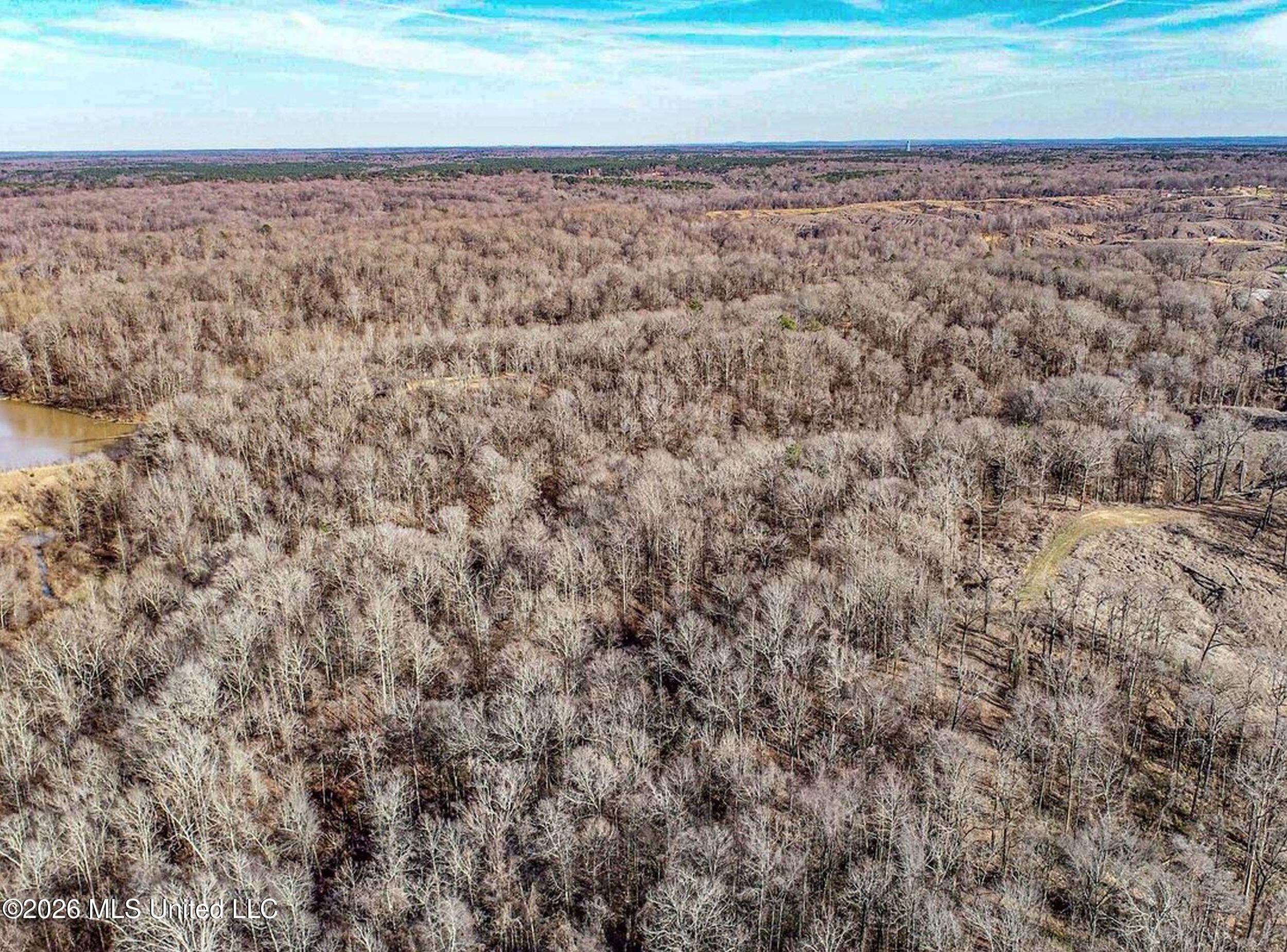 173 Cascilla Road Property Photo 25