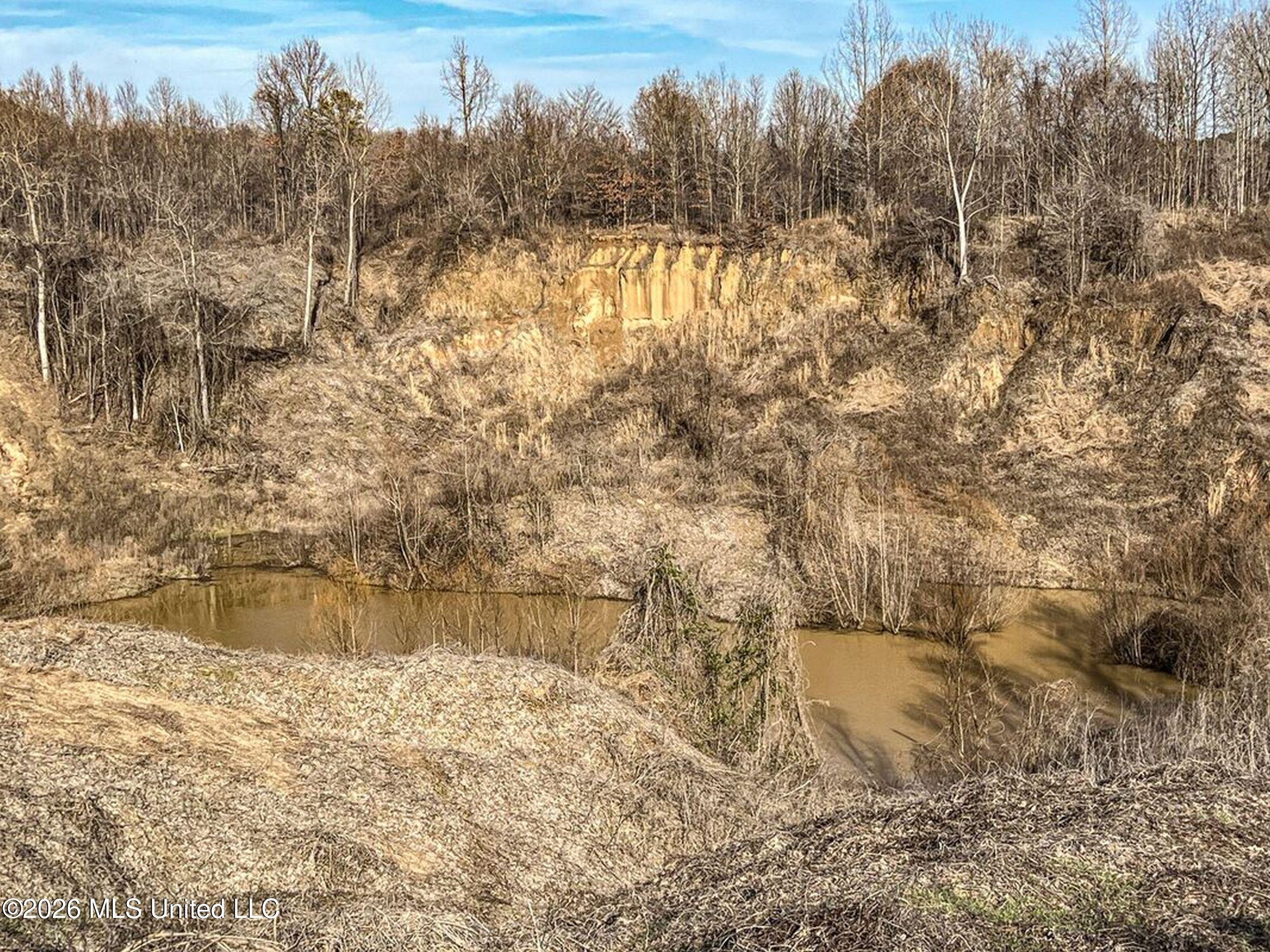 173 Cascilla Road Property Photo 26