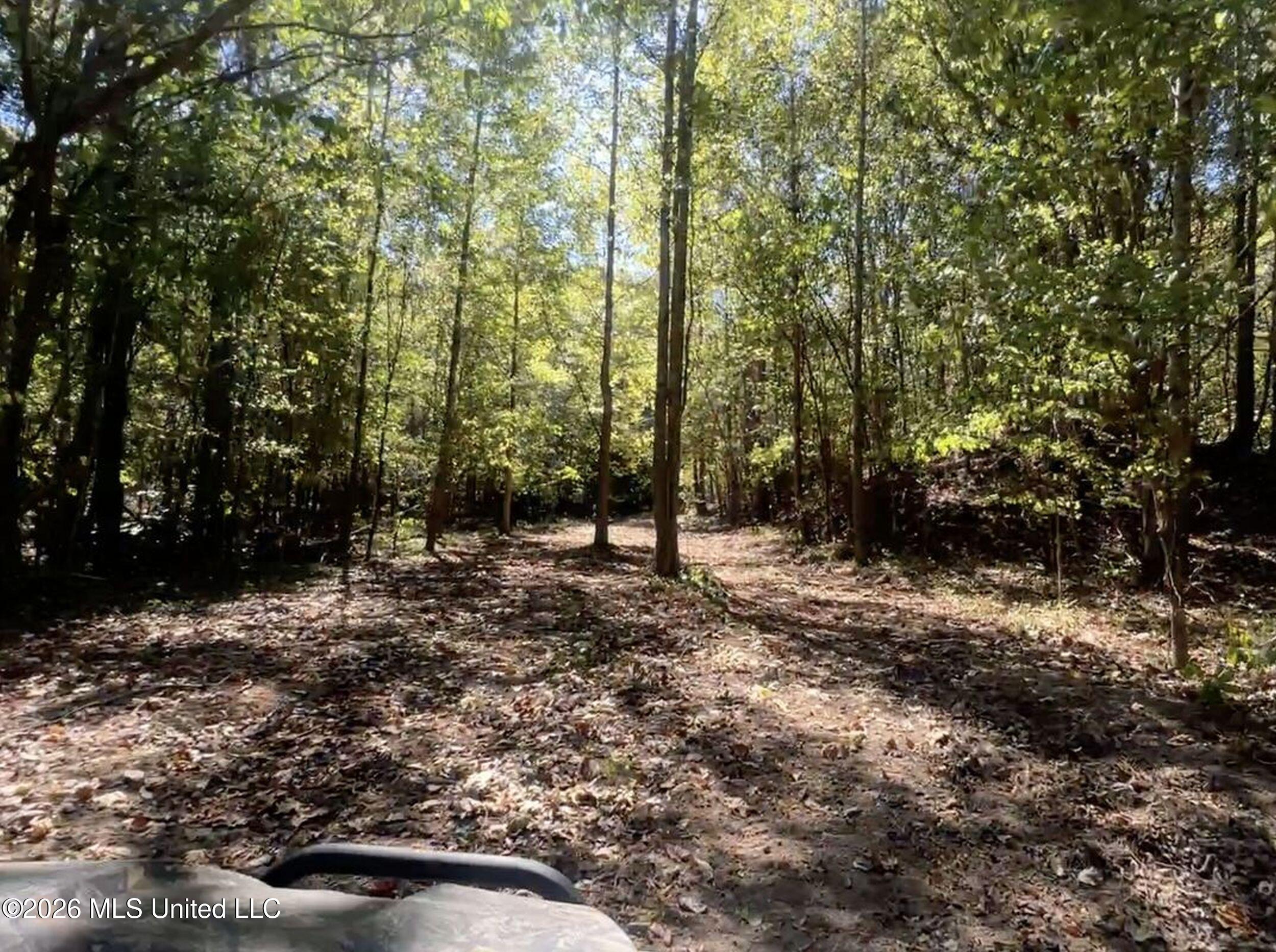 173 Cascilla Road Property Photo 27